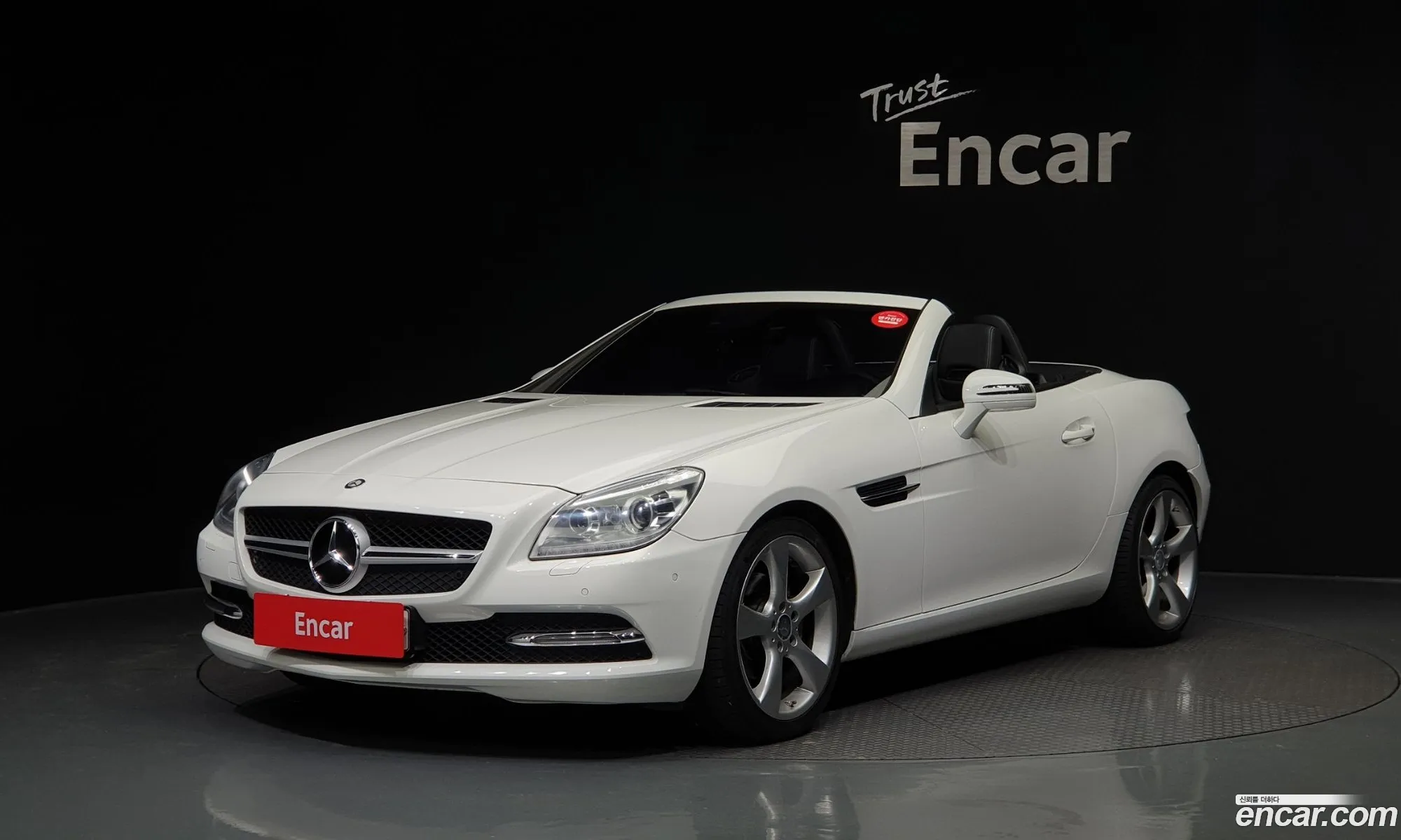Mercedes-Benz Slk-Klasse Iii R172 200 Blue Efficiency 2014 - фотография 13674627