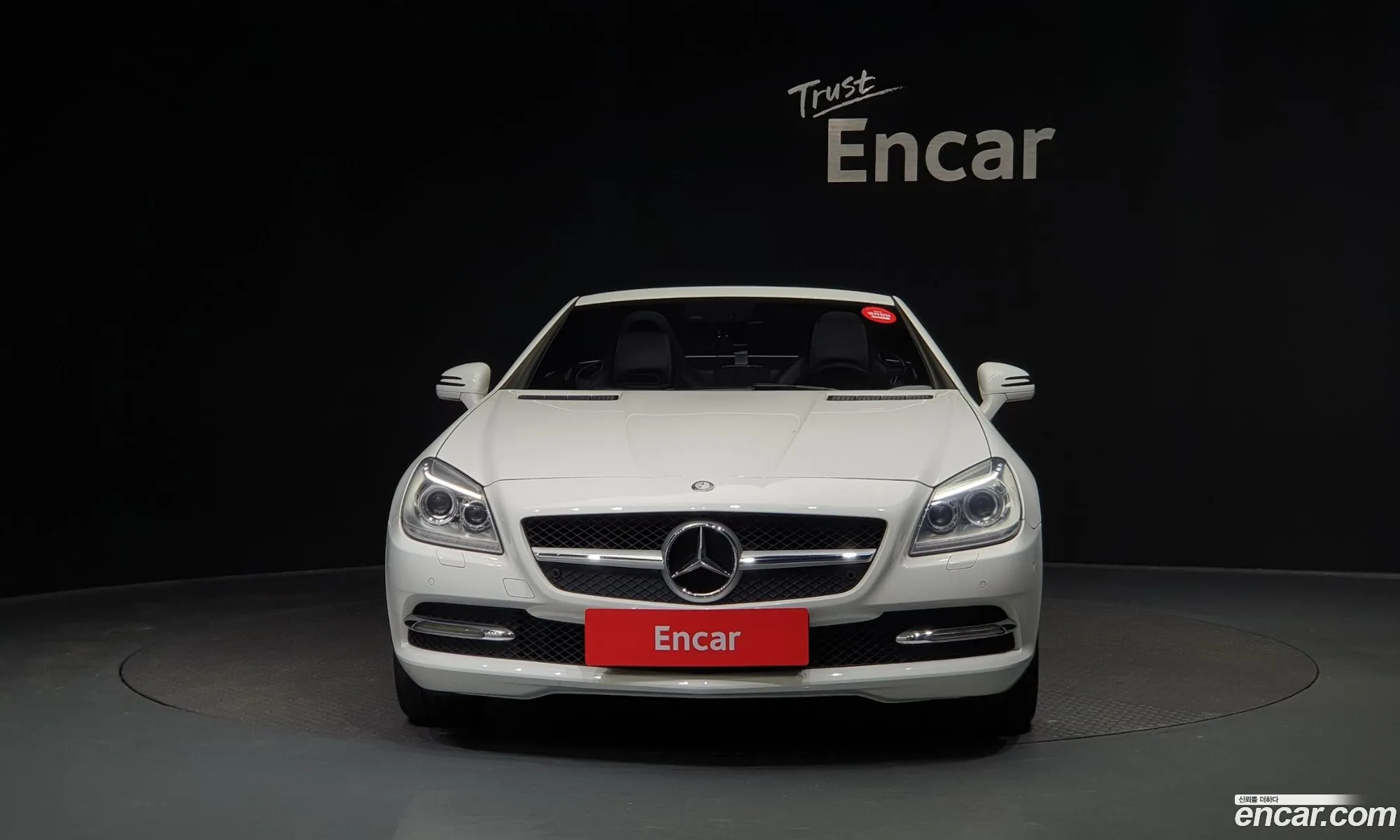 Mercedes-Benz Slk-Klasse Iii R172 200 Blue Efficiency 2014 - фотография 13674629