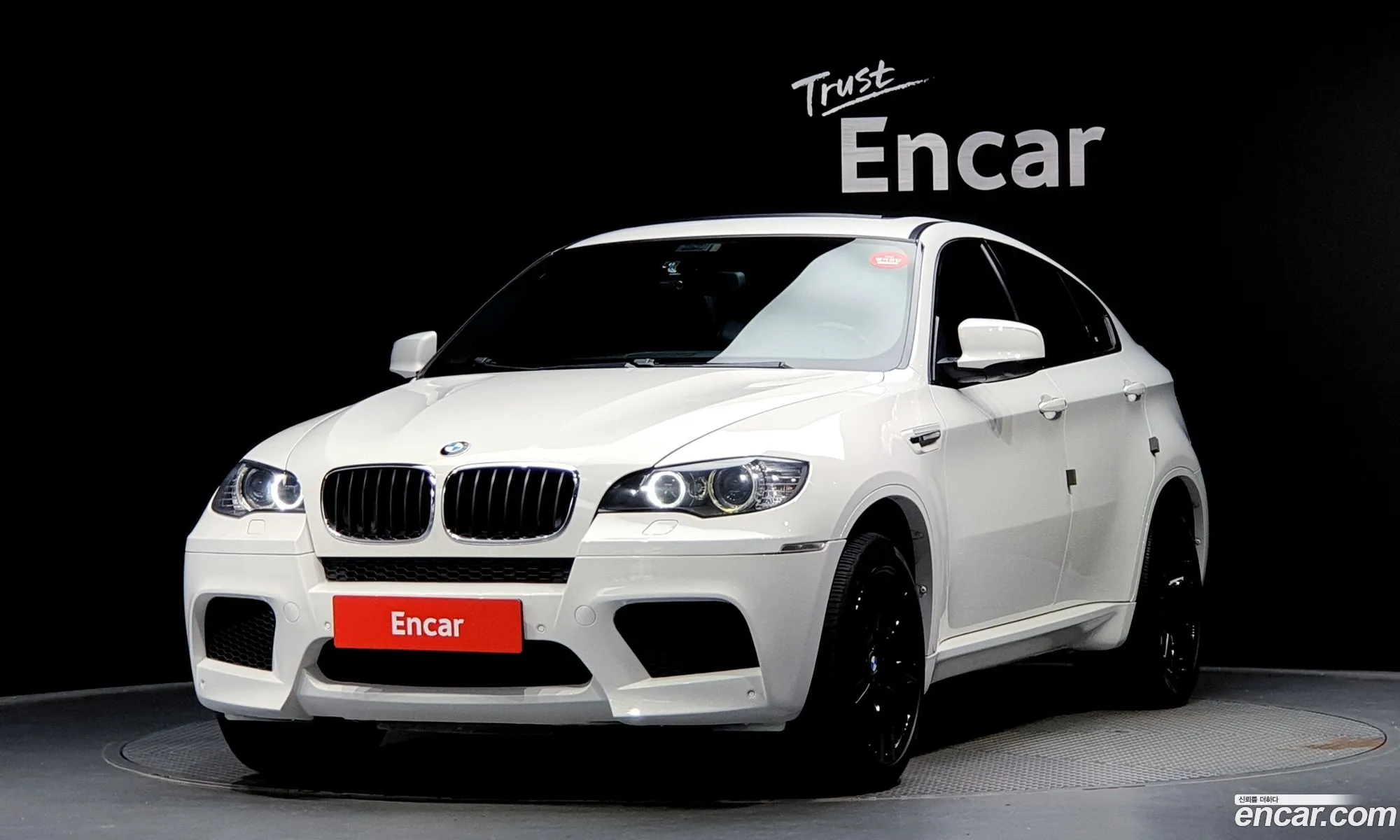 BMW X6 M I E71 44 2010 - фотография 14526660