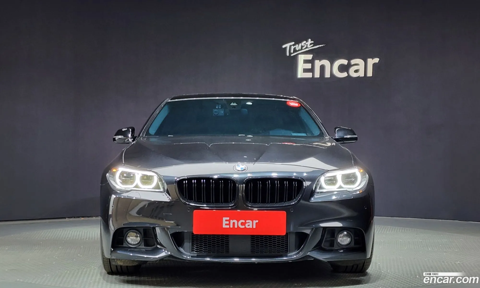 BMW 5 Series F10 520D M Aerodynamics - фотография 56124