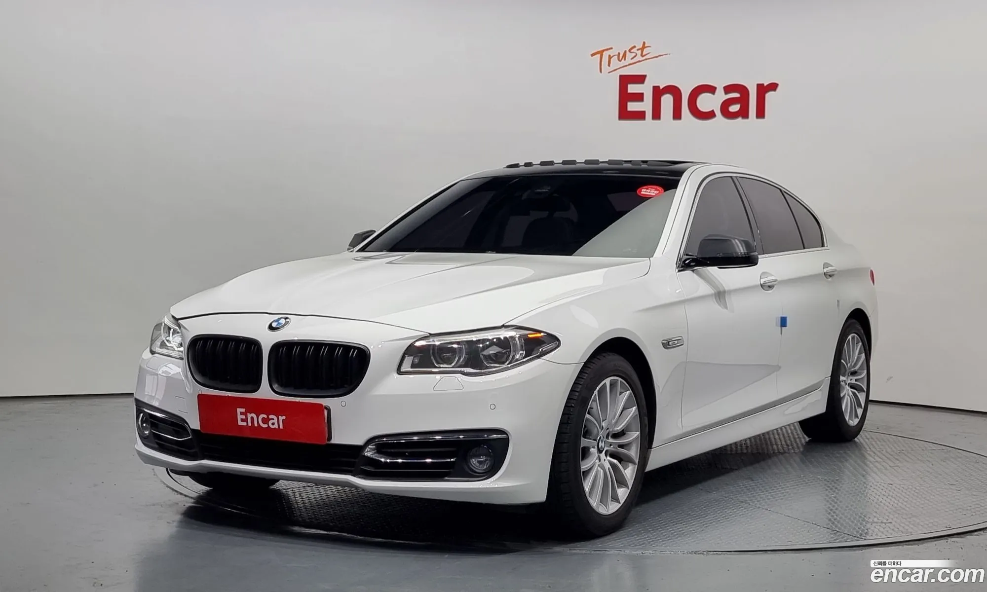 BMW 5Er 520D Luxury Plus 2016 - фотография 16668939