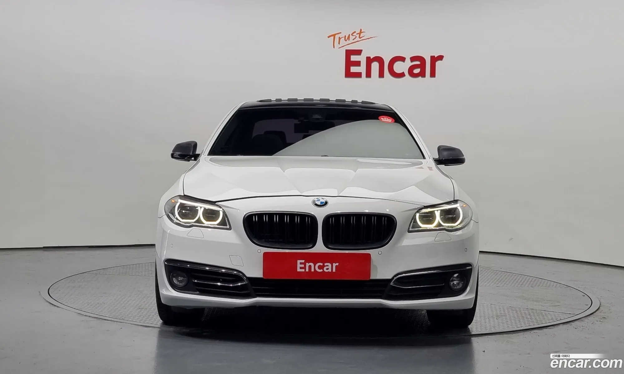 BMW 5Er 520D Luxury Plus 2016 - фотография 16668941