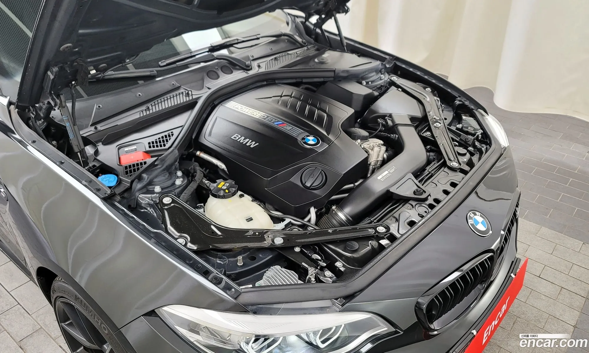 BMW M2 F87 M2 Black Shadow 2018 - фотография 13540645