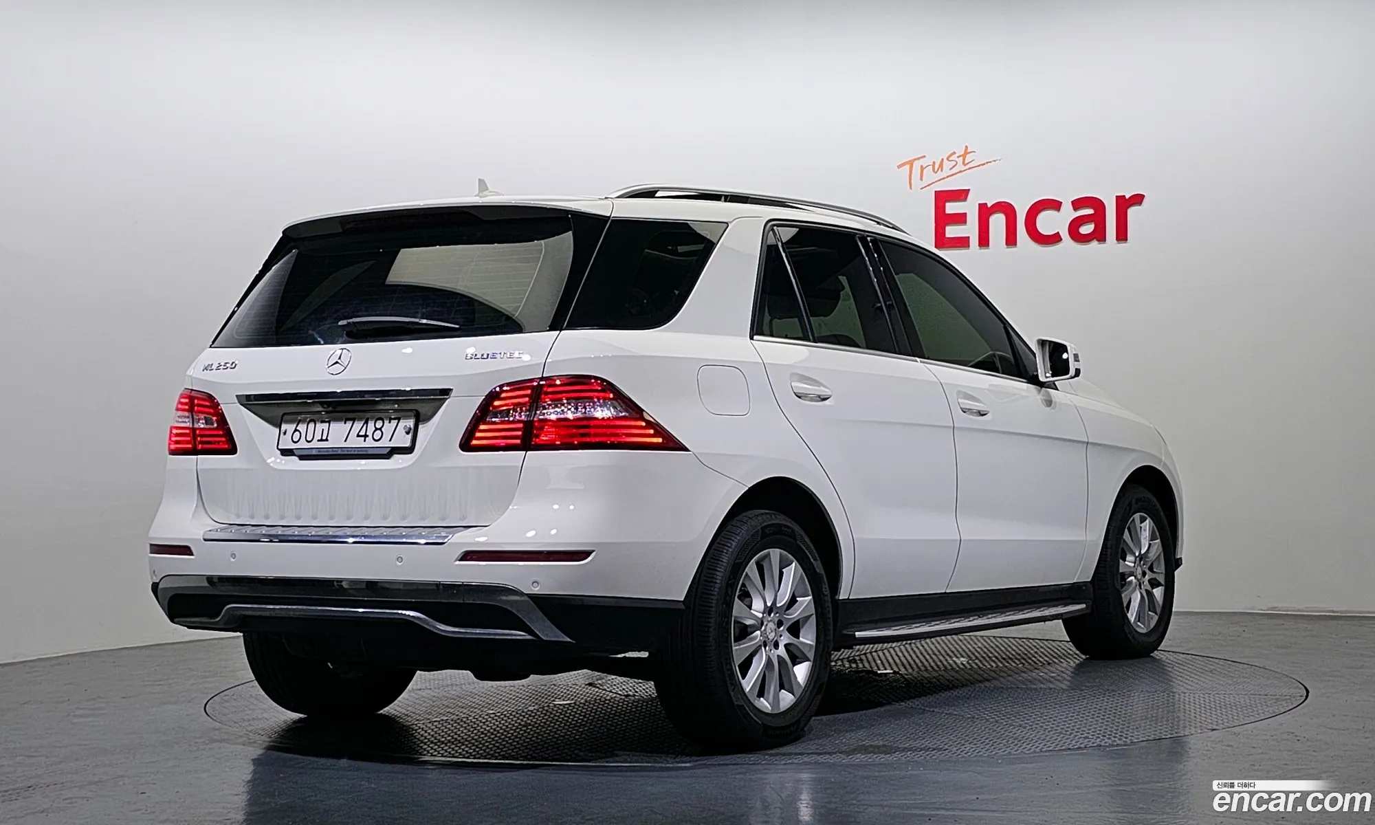 Mercedes-Benz M-Klasse Iii W166 Ml250 Bluetec 4Matic 2013 - фотография 11807322