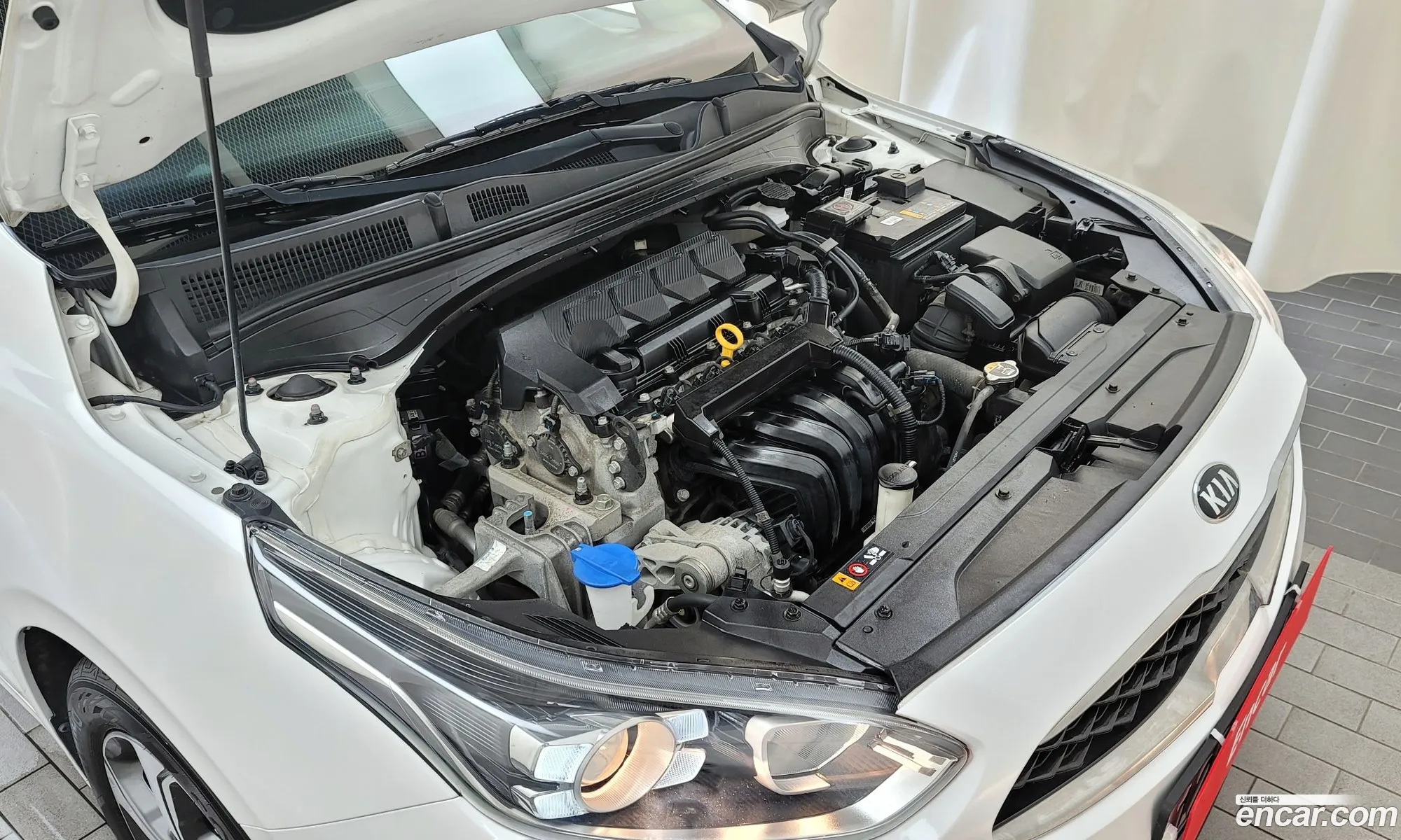 Korex Auto Trade - фотография 11291823