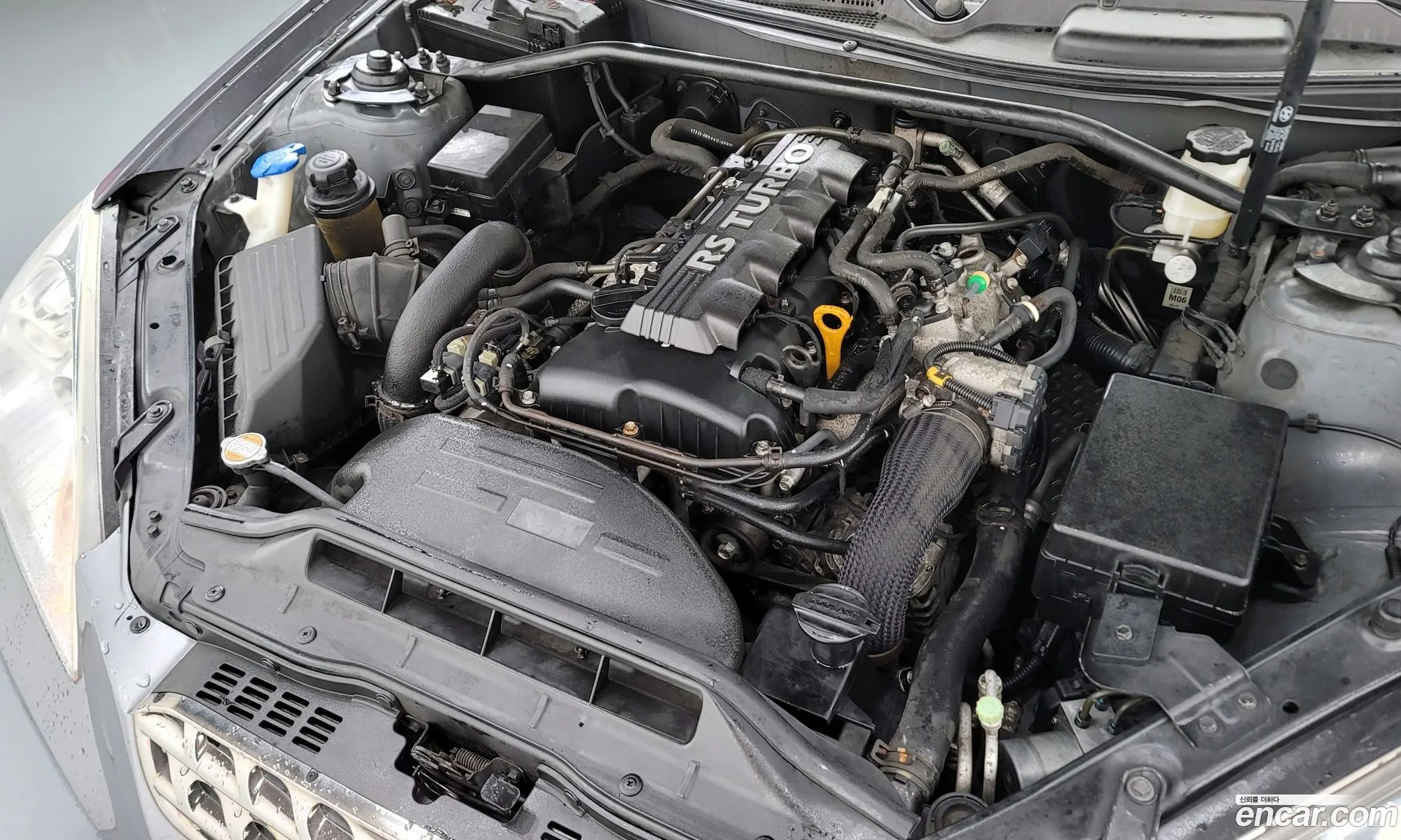 Hyundai Genesis I 200 Turbo R 2010 - фотография 18533849