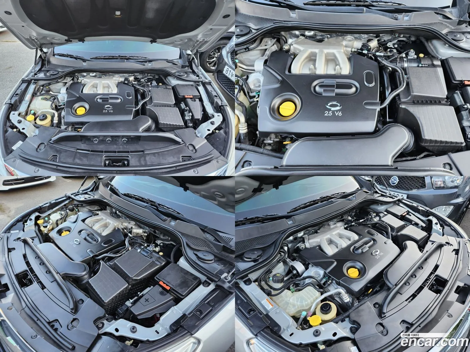 Renault Samsung Sm7 Le 2012 - фотография 4466191