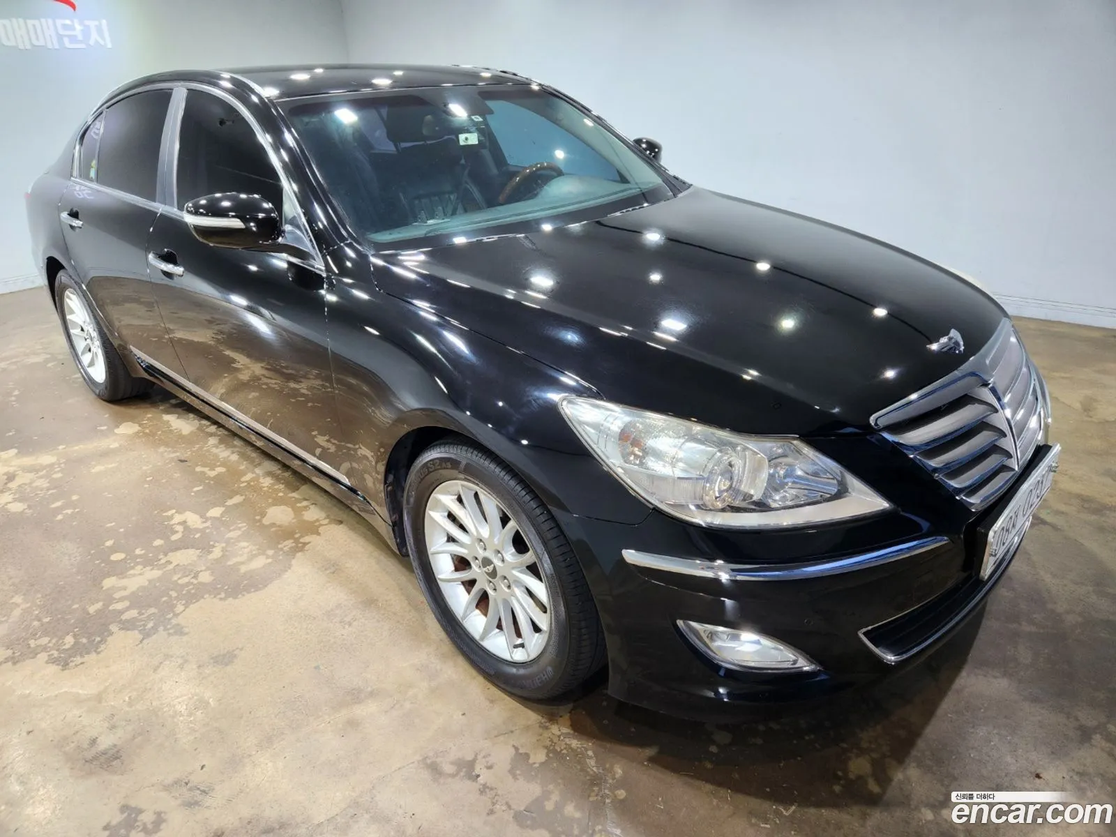 Hyundai Genesis I Bh330 Luxury 2008 - фотография 13585443