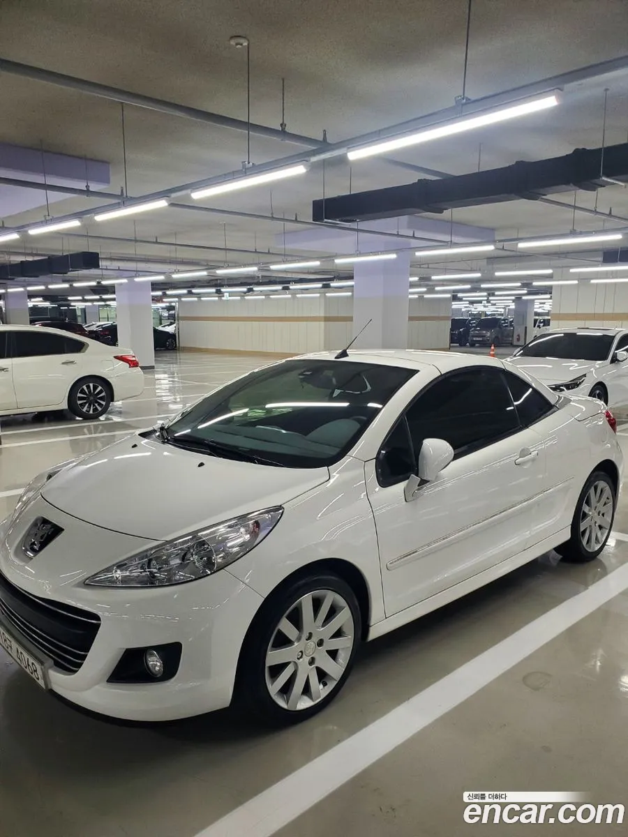 Korex Auto Trade - фотография 4751462