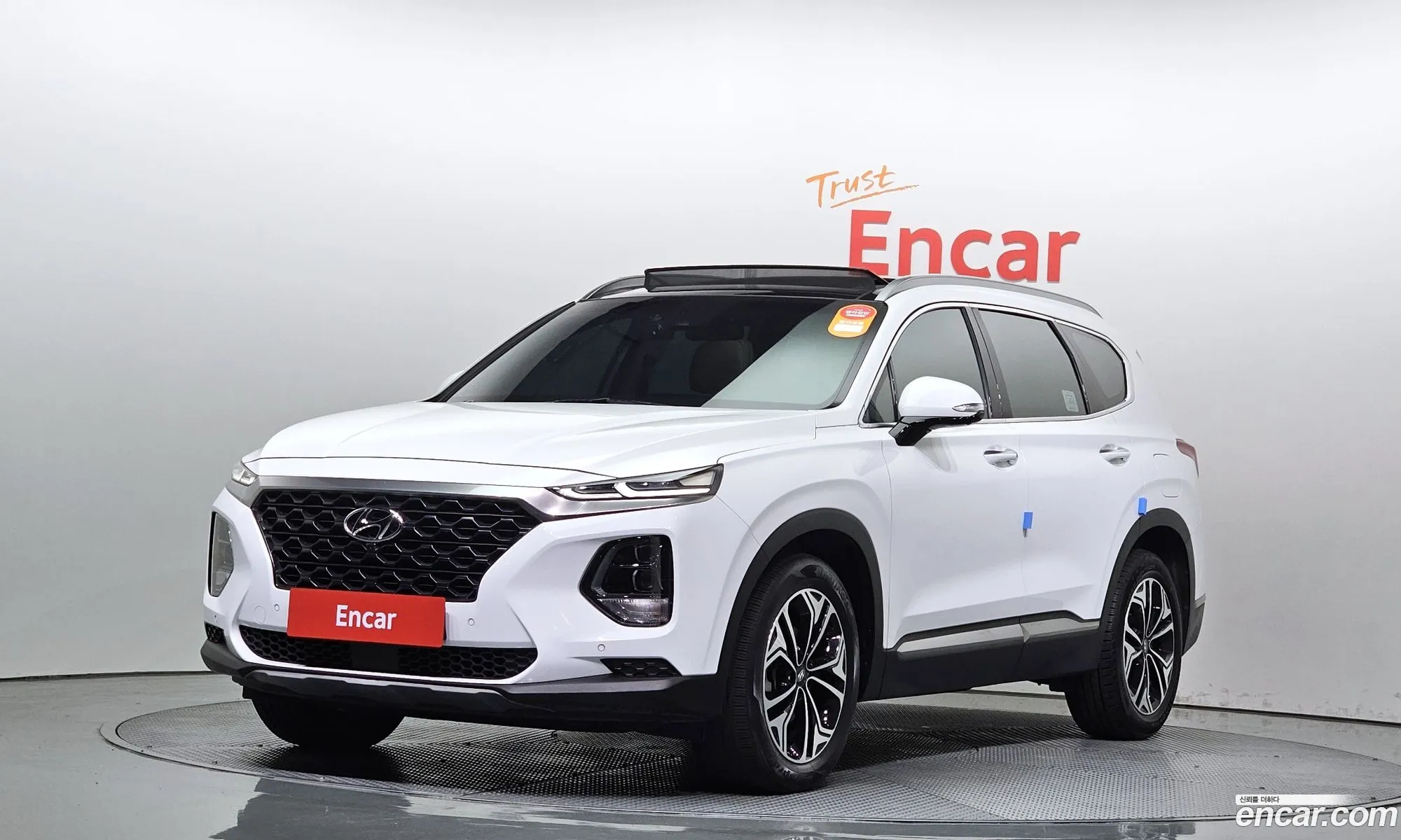 Hyundai Santa Fe Diesel 20 4Wd 2019 - фотография 17125207