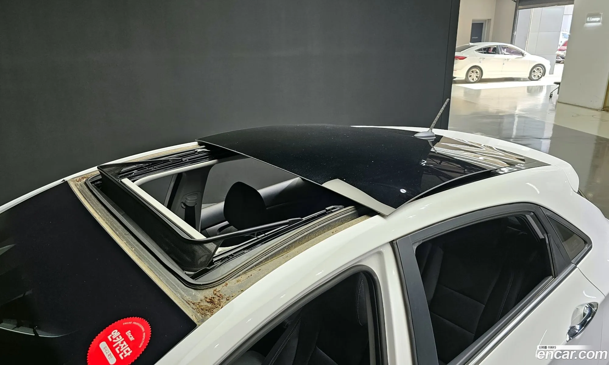 Korex Auto Trade - фотография 12464310