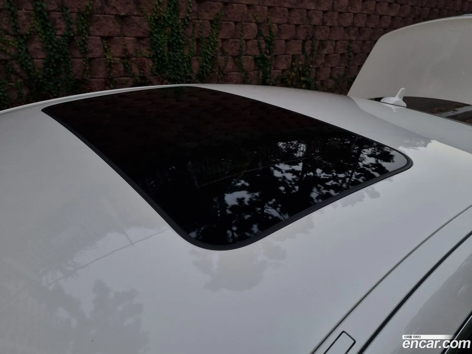 Korex Auto Trade - фотография 13402375