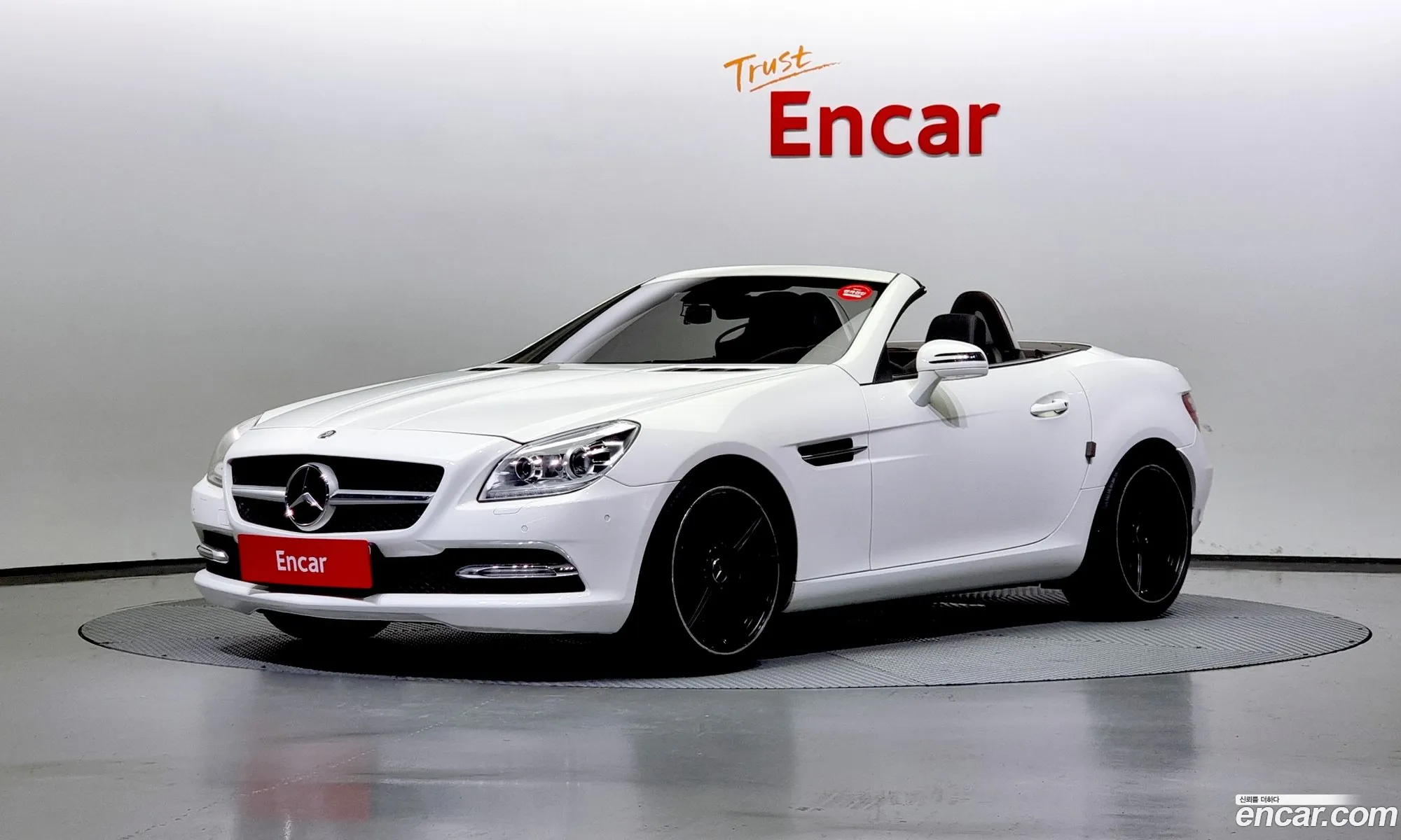 Mercedes-Benz Slk-Klasse Iii R172 200 Blue Efficiency 2014 - фотография 12133867