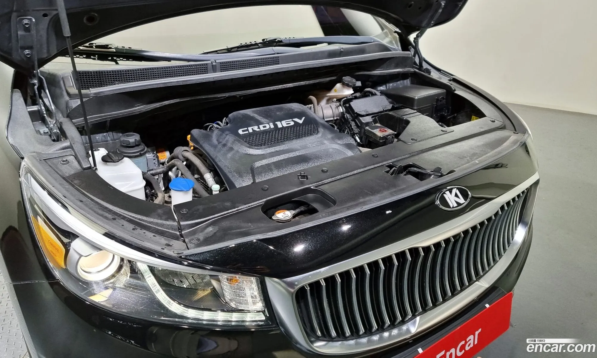 Kia Carnival 9-Seater High Limousine 2018 - фотография 11317937