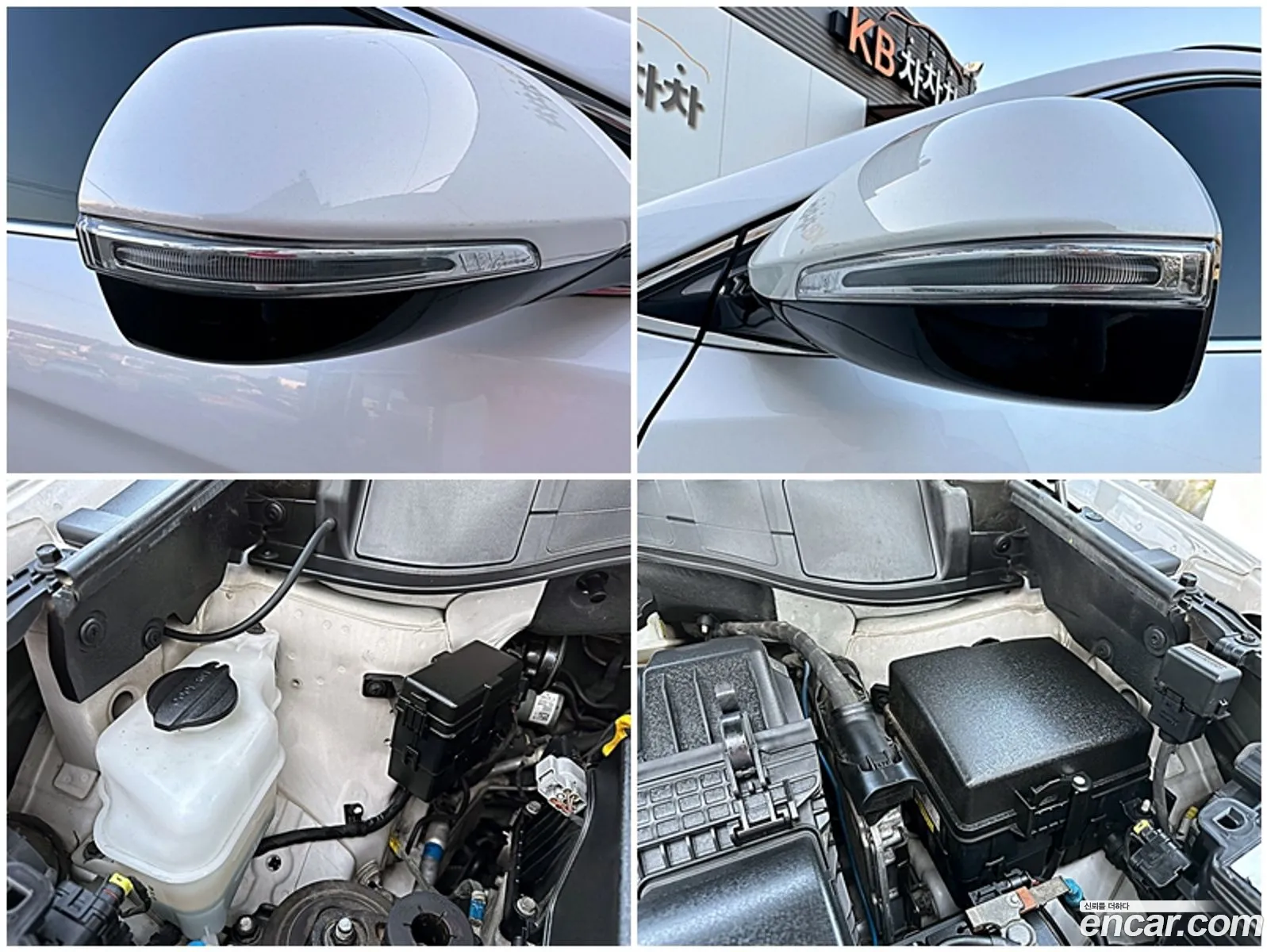 Korex Auto Trade - фотография 18651241