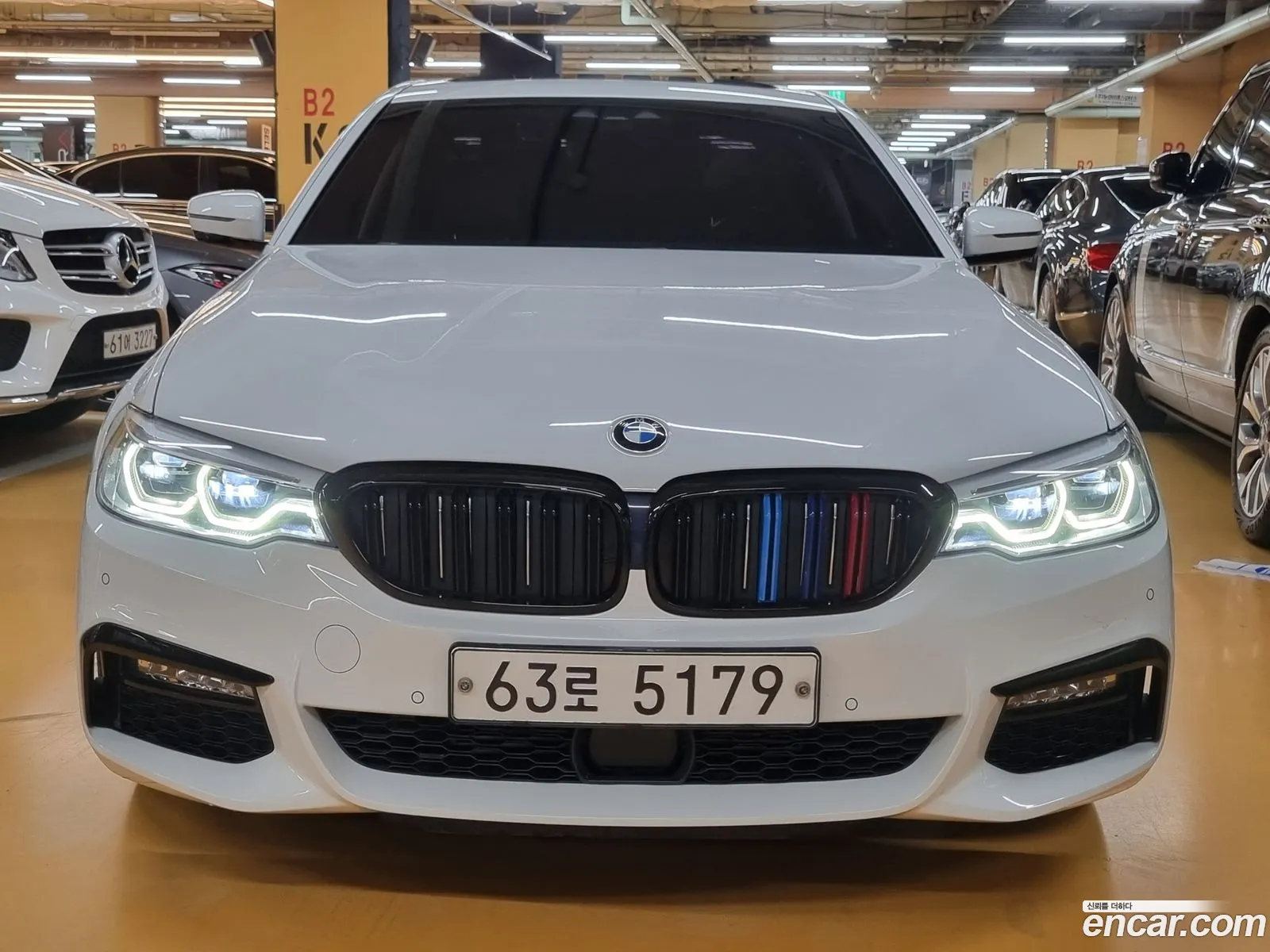 BMW 5Er Vii G30G31 520D xDrive Luxury Plus 2018 - фотография 144847