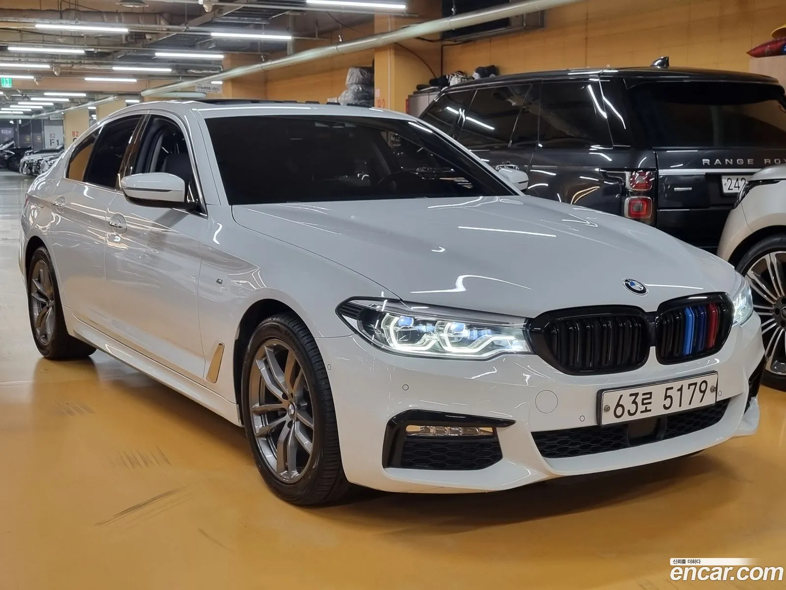 BMW 5Er Vii G30G31 520D xDrive Luxury Plus 2018 - фотография 144848