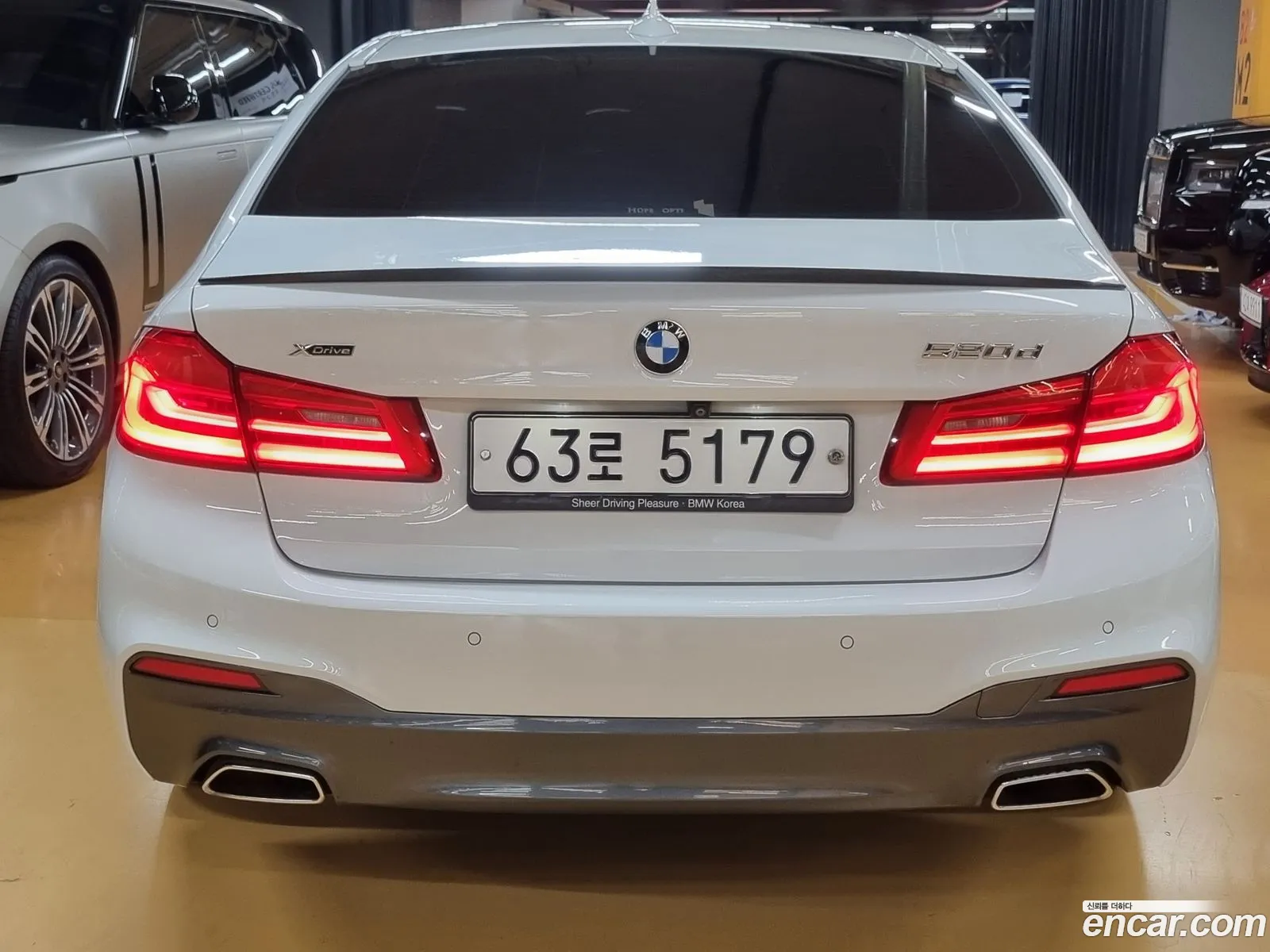 BMW 5Er Vii G30G31 520D xDrive Luxury Plus 2018 - фотография 144849