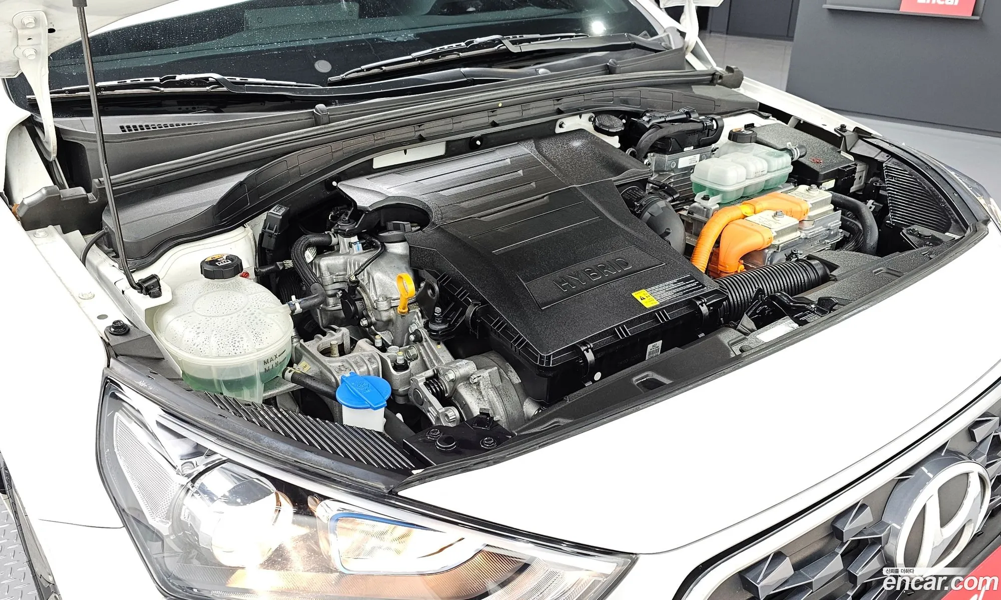 Hyundai Ioniq Ioniq 16 Hev 2020 - фотография 15853559