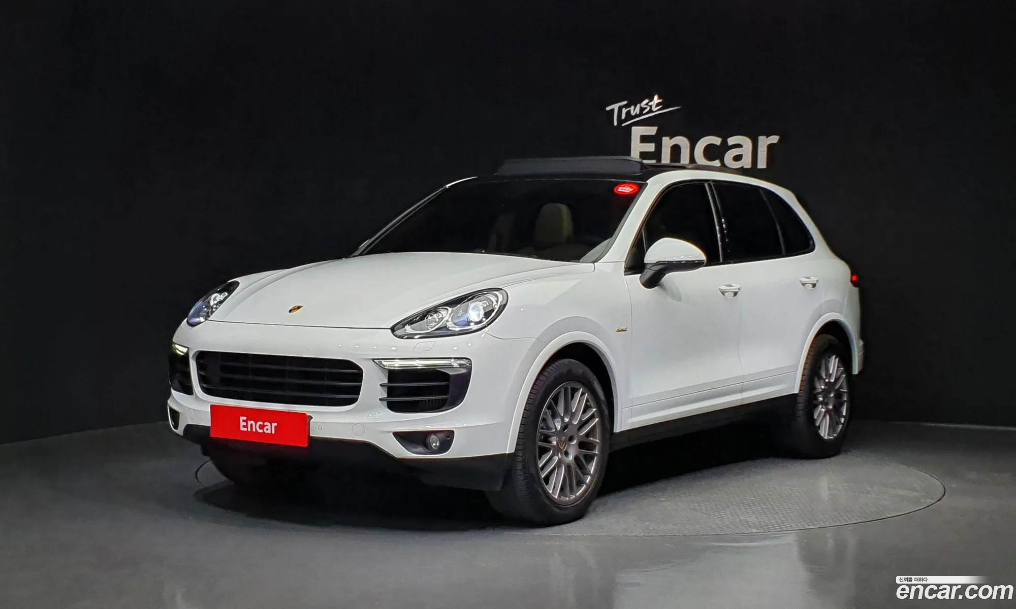 New Cayenne 30 Diesel Platinum Edition 958 - фотография 4797947