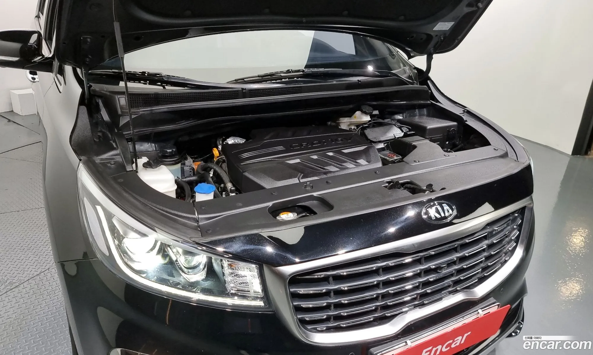 Kia The New Carnival 9-Seater High Limousine Noblesse Special - фотография 11078319