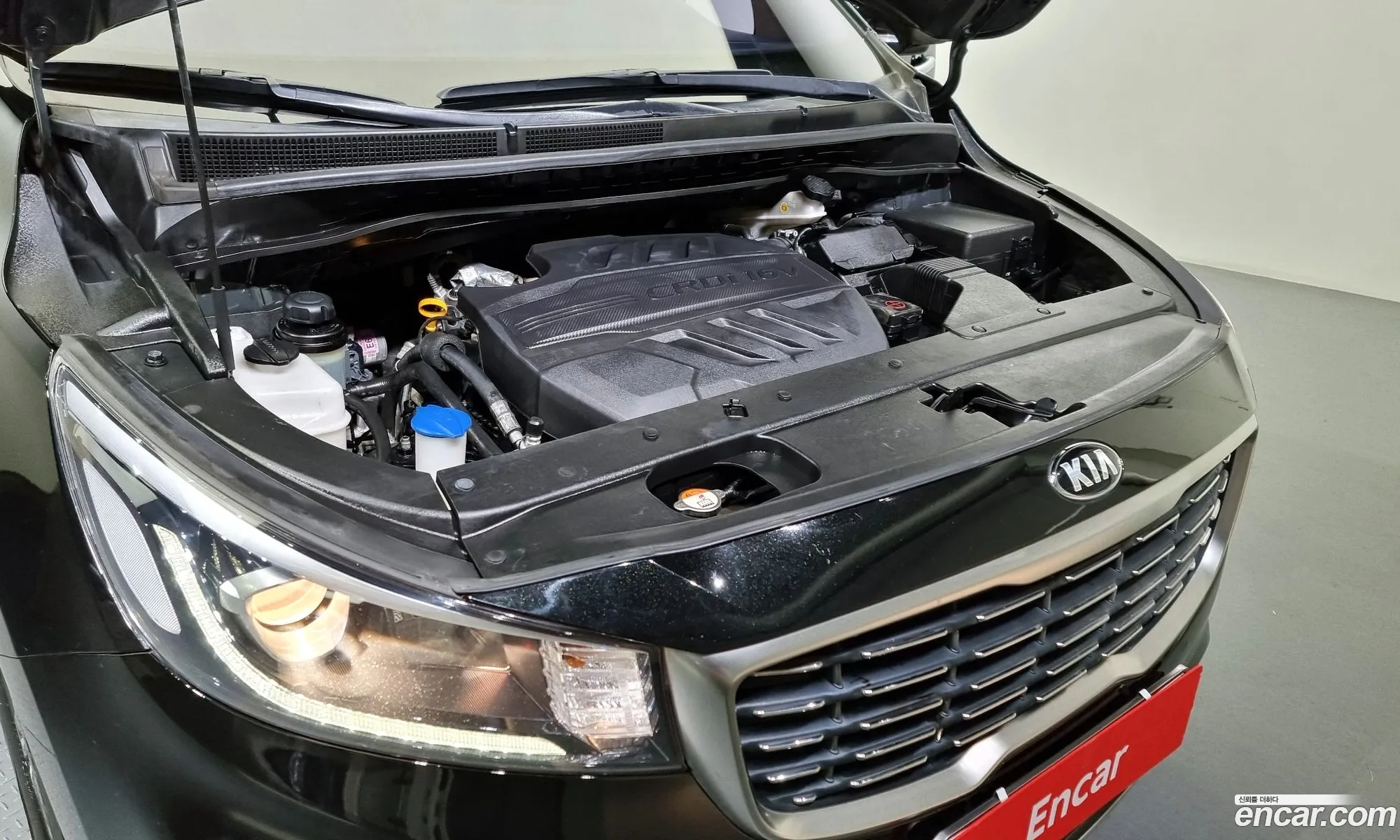 Kia Carnival Iii 9-Seater Luxury 2019 - фотография 11302553