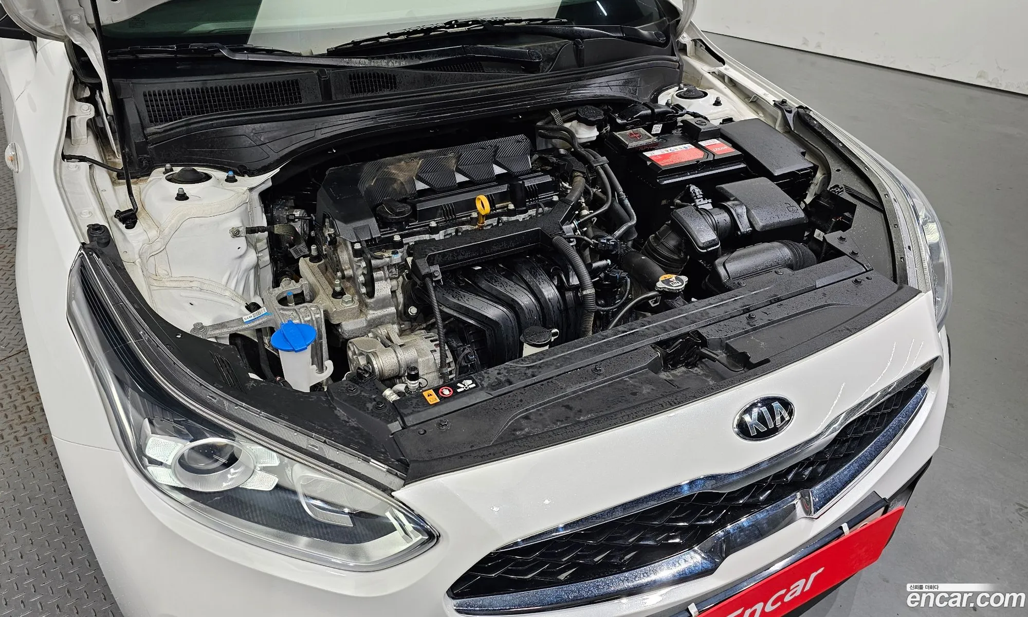 Kia K3 Standard 2021 - фотография 17545955