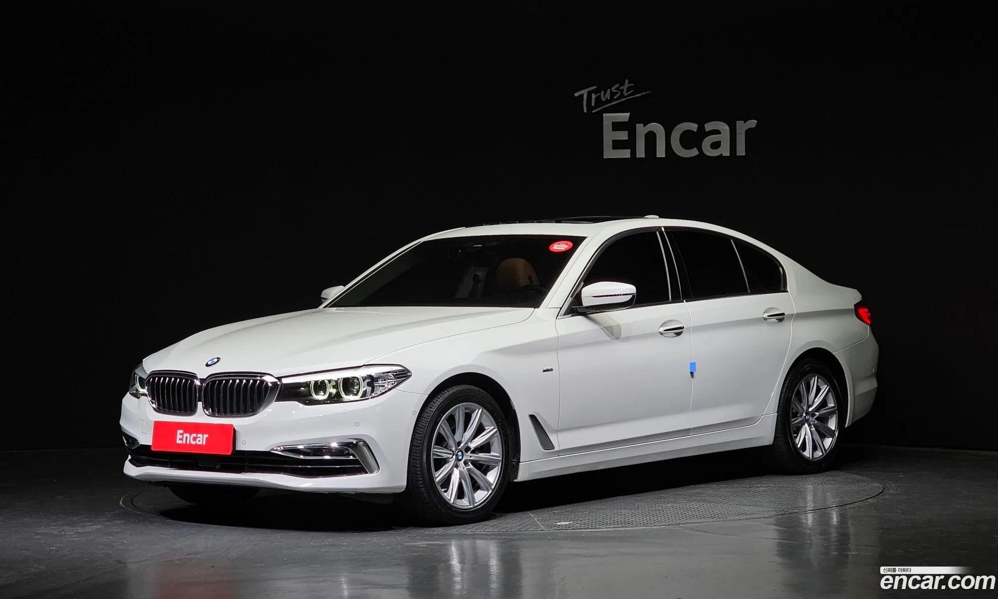 BMW 5Er Vii G30G31 520I Luxury 2018 - фотография 12528076