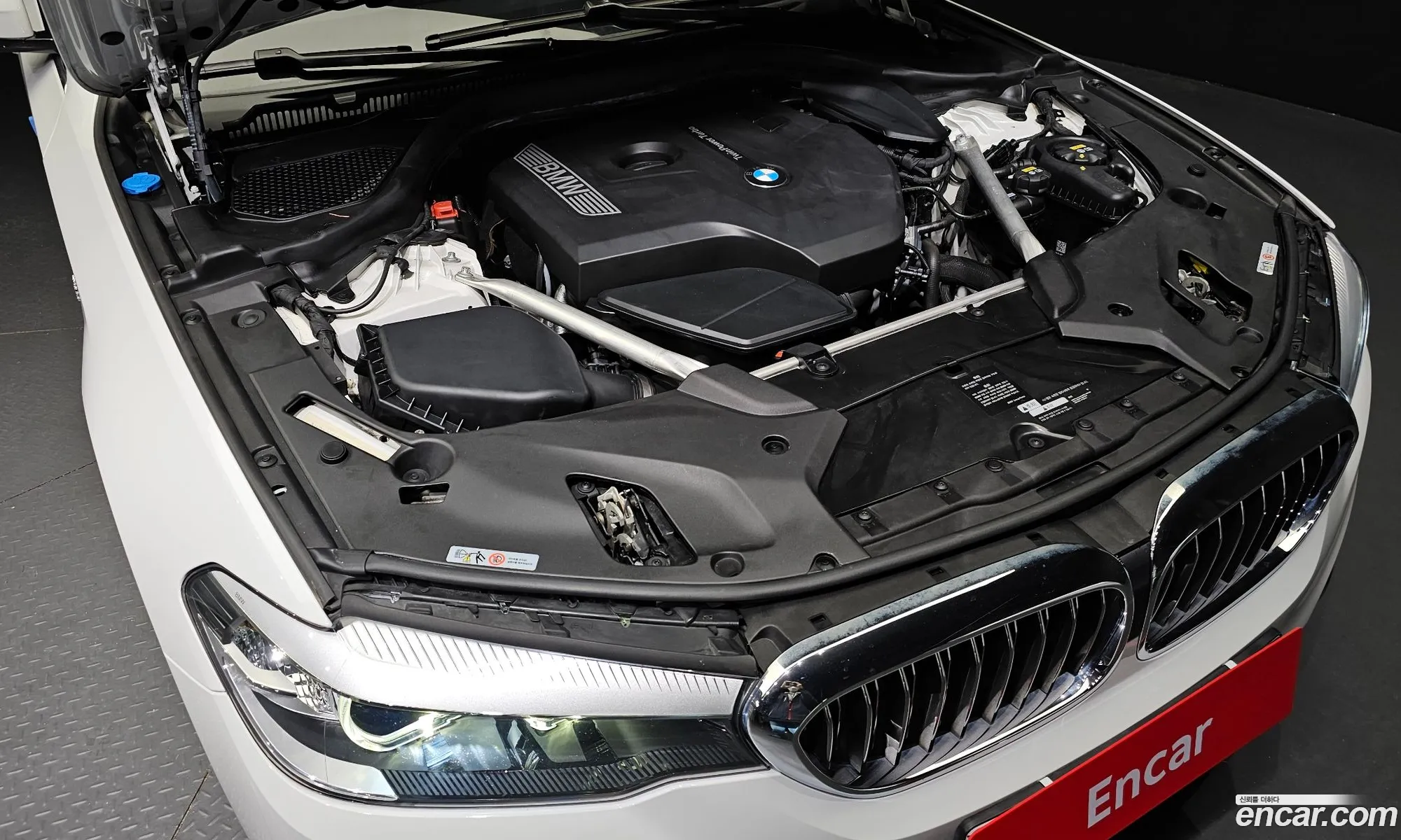 BMW 5Er Vii G30G31 520I Luxury 2018 - фотография 12528081