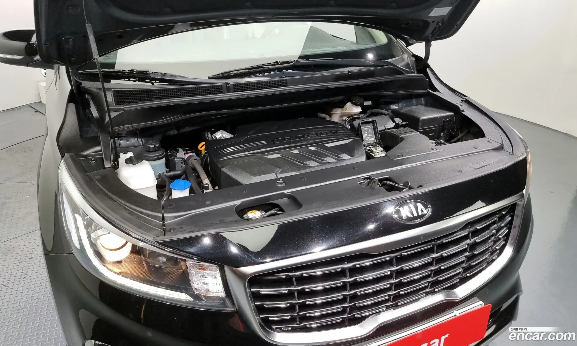 Kia Carnival Iii 9-Seater Luxury 2019 - фотография 15718105