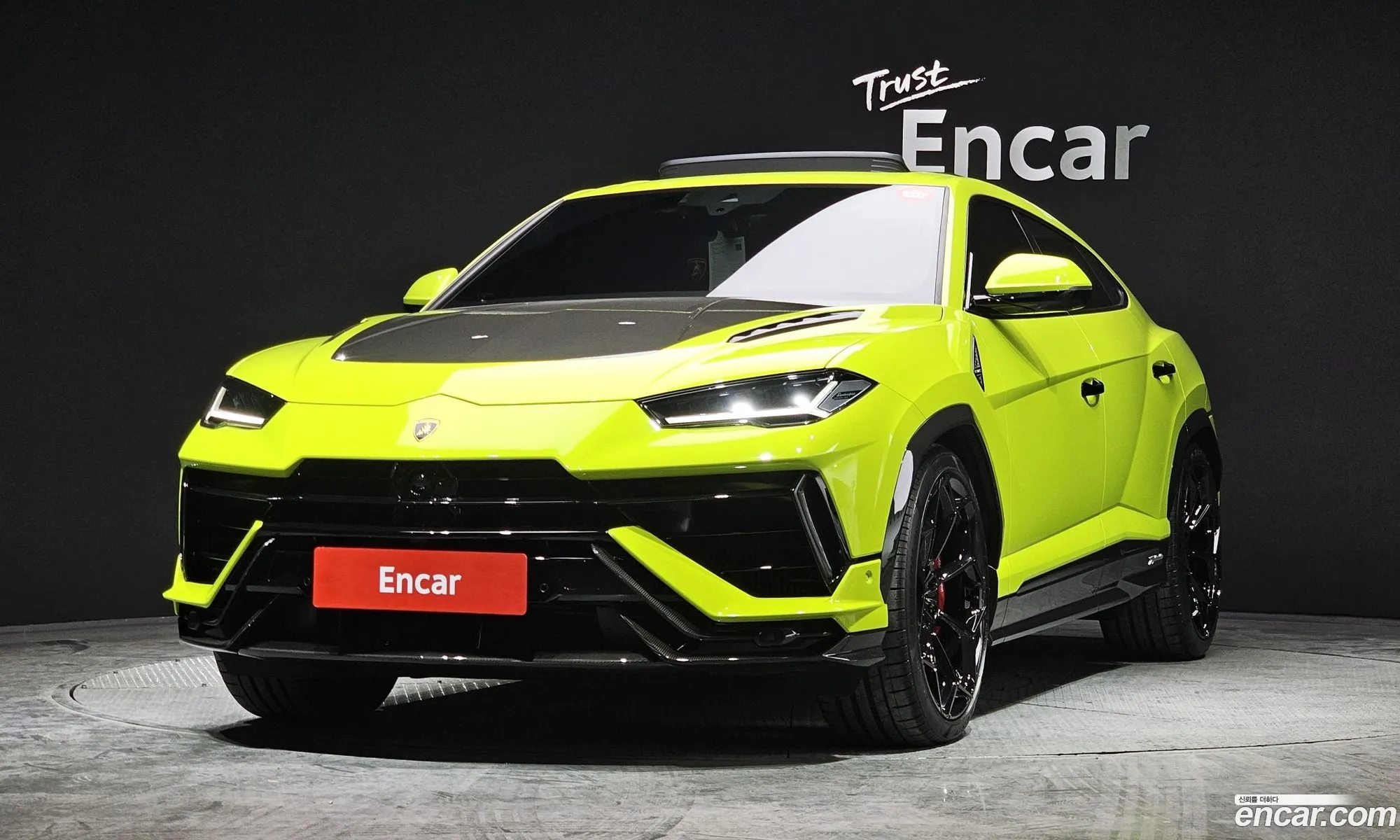 Lamborghini Urus 40 V8 Performante 2023 - фотография 3730502