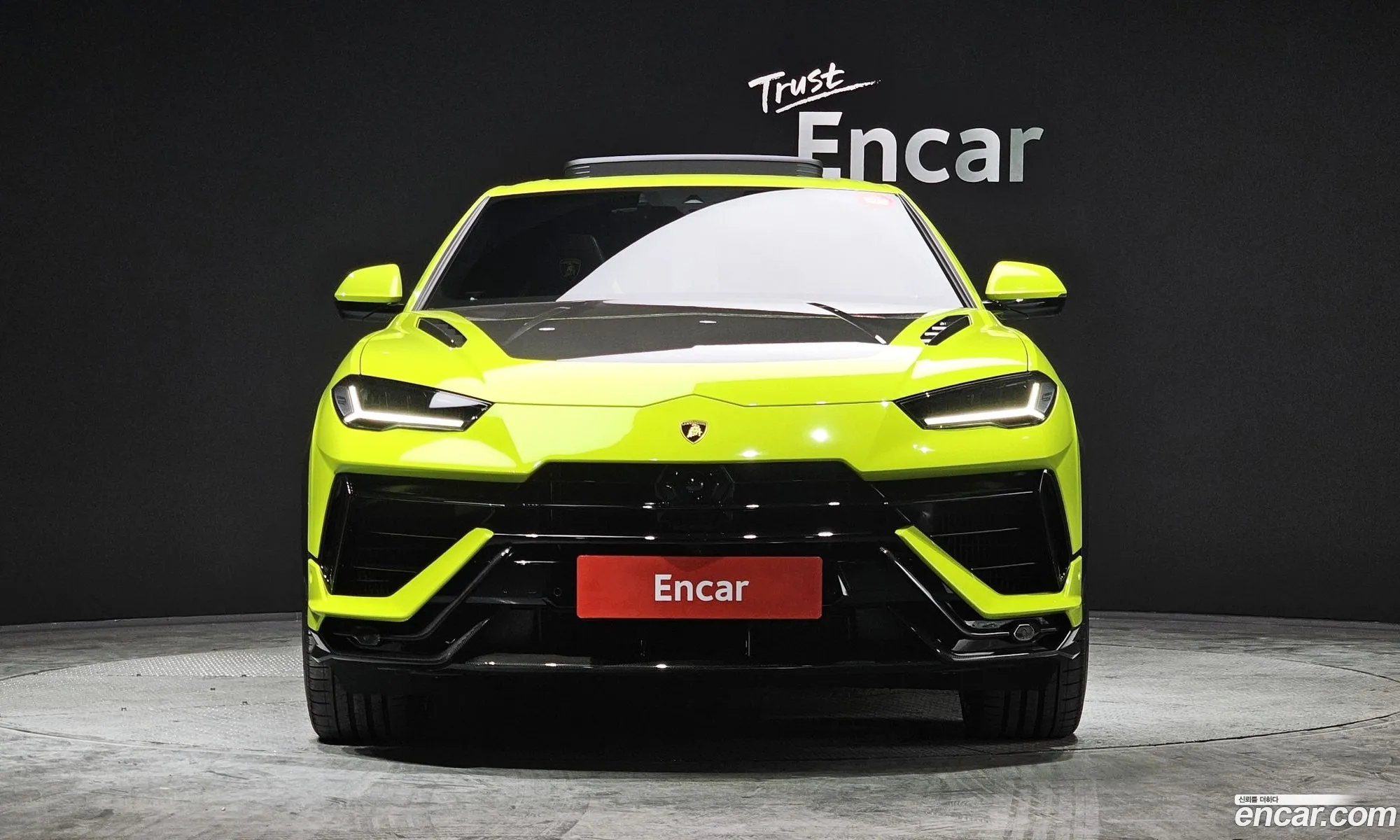 Lamborghini Urus 40 V8 Performante 2023 - фотография 3730504