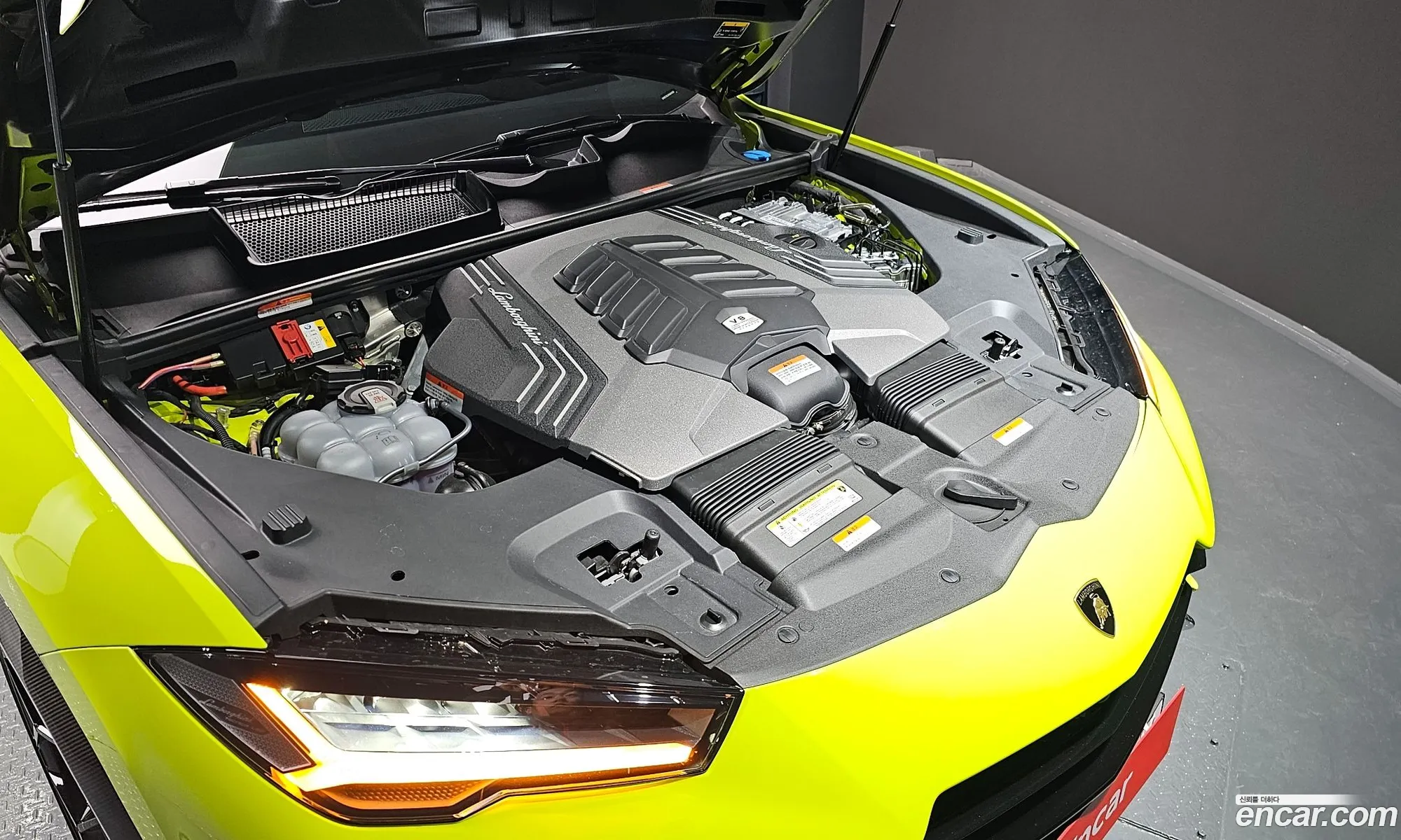 Lamborghini Urus 40 V8 Performante 2023 - фотография 3730507