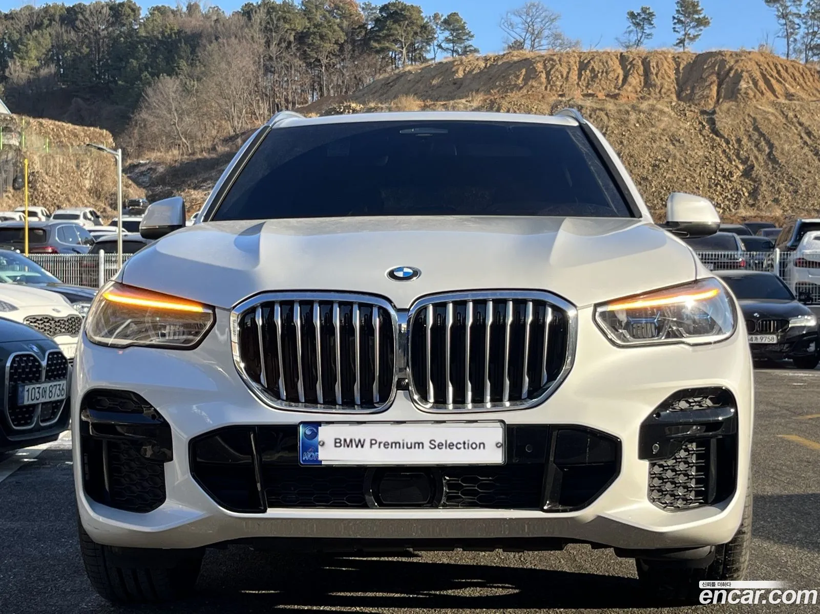 BMW X5 xDrive 30D M Sports 2023 - фотография 15101033