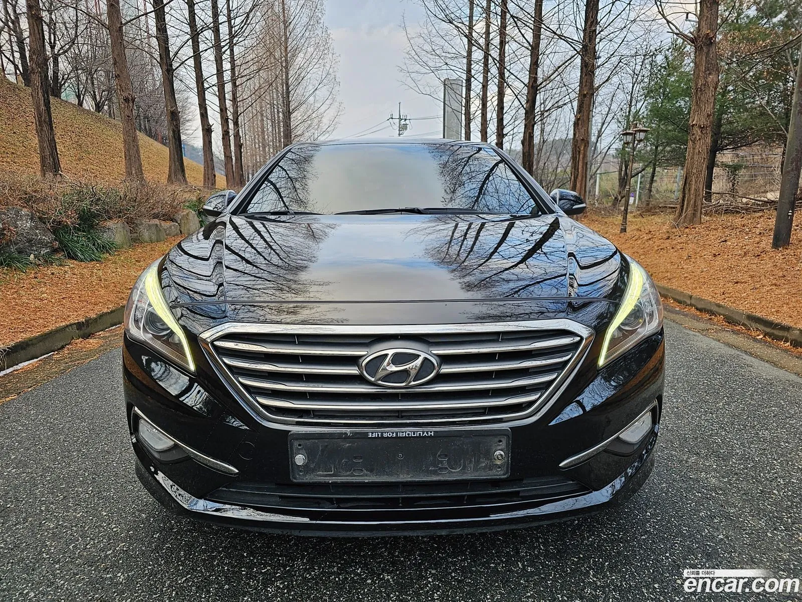 Hyundai Sonata Vii Lf 20 Smart 2016 - фотография 18337768