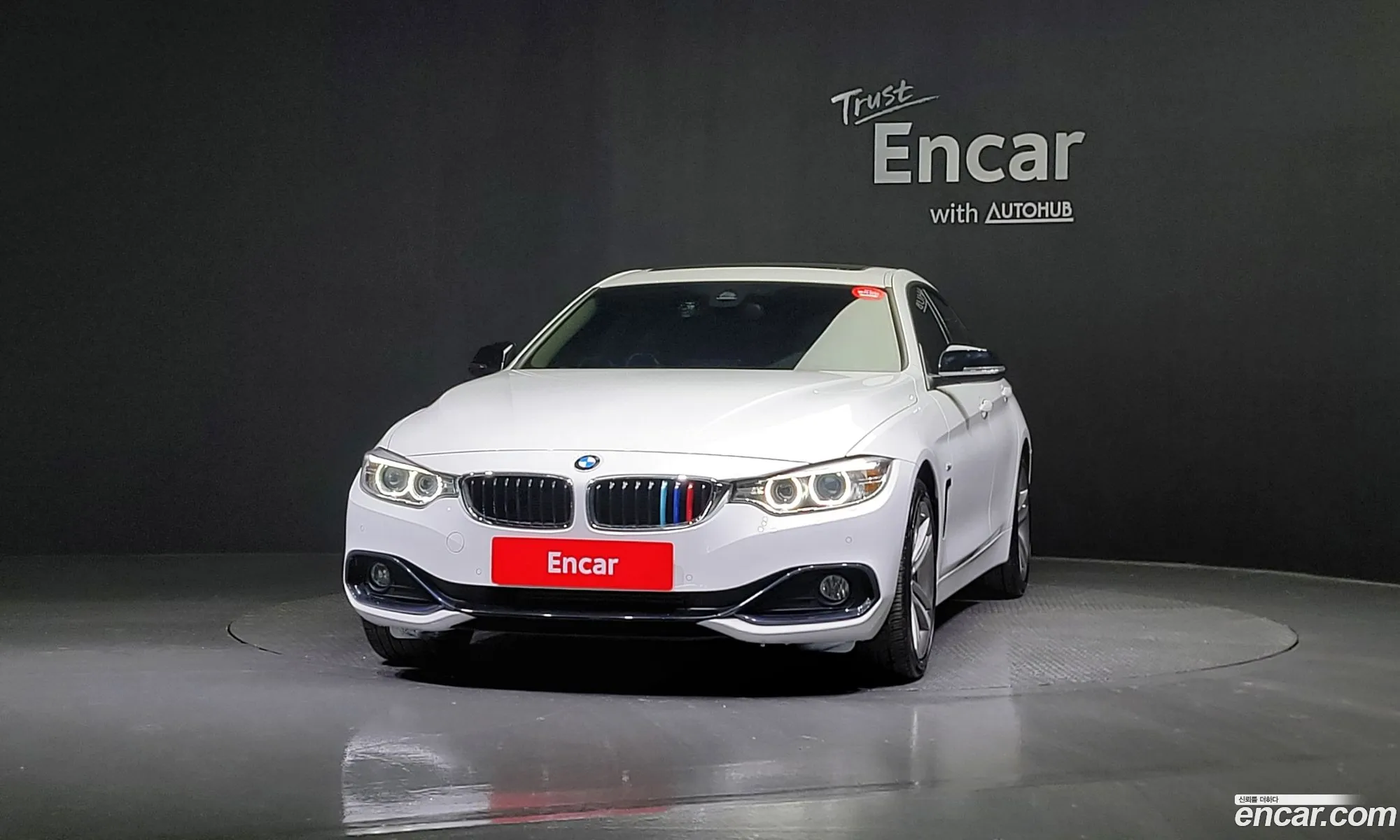 BMW 4Er F32F33F36 420D xDrive Sports Gran Coupe 2017 - фотография 1029539