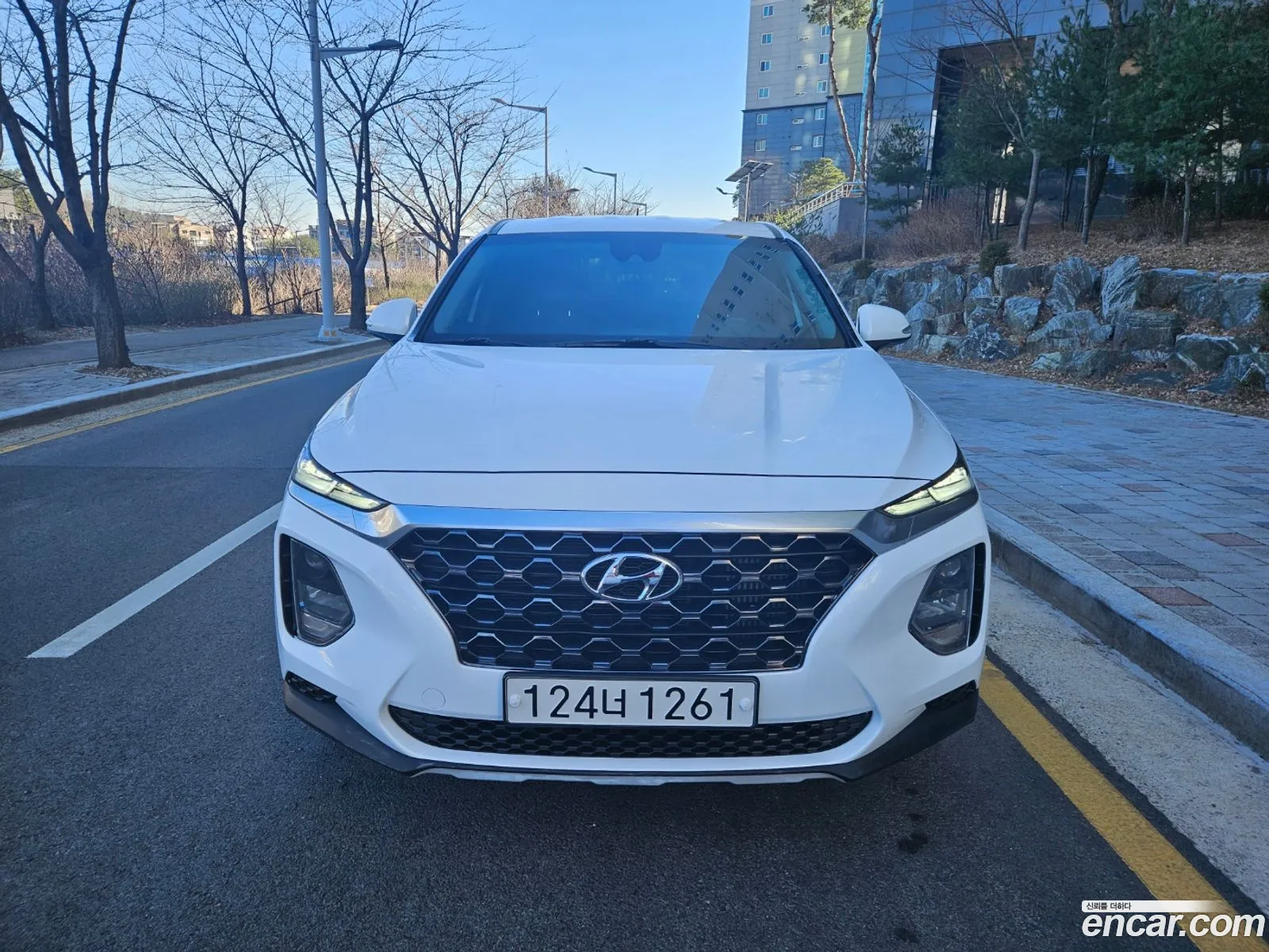 Hyundai Santa Fe Iv Diesel 20 2Wd 2020 - фотография 18526239