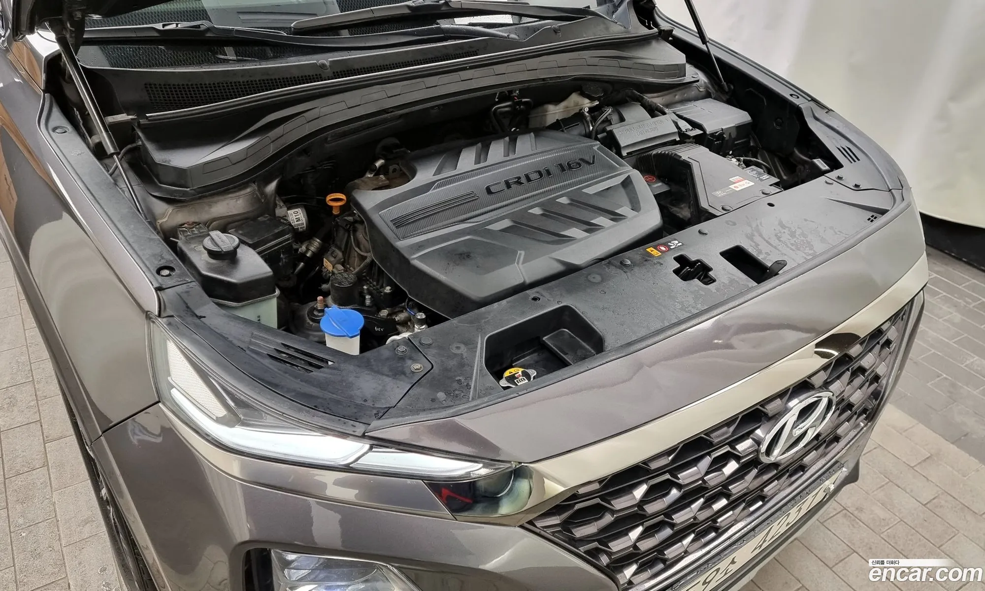 Korex Auto Trade - фотография 12920691