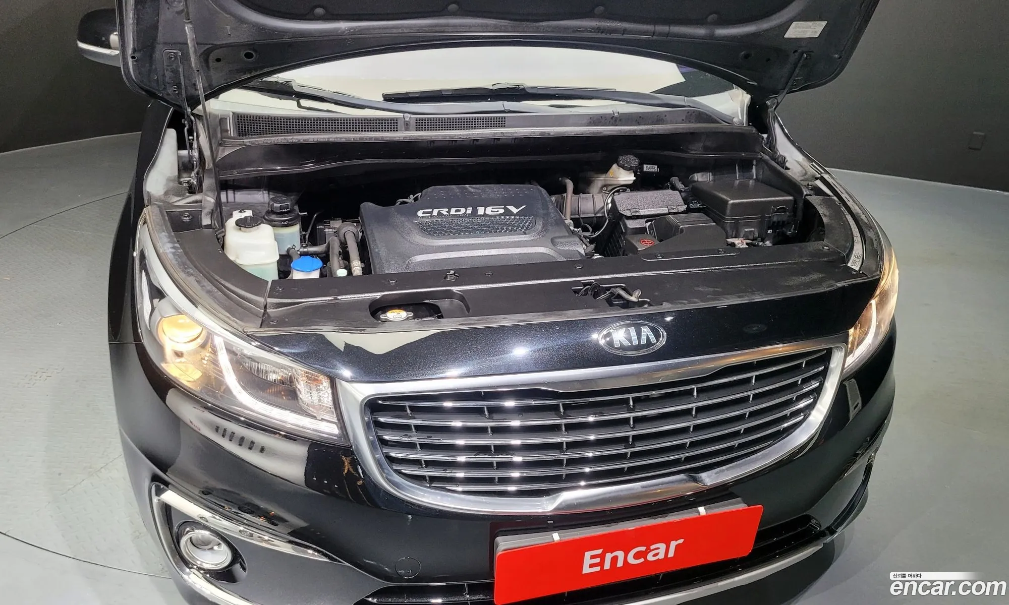 Kia Carnival 9-Seater Luxury 2015 - фотография 11230358
