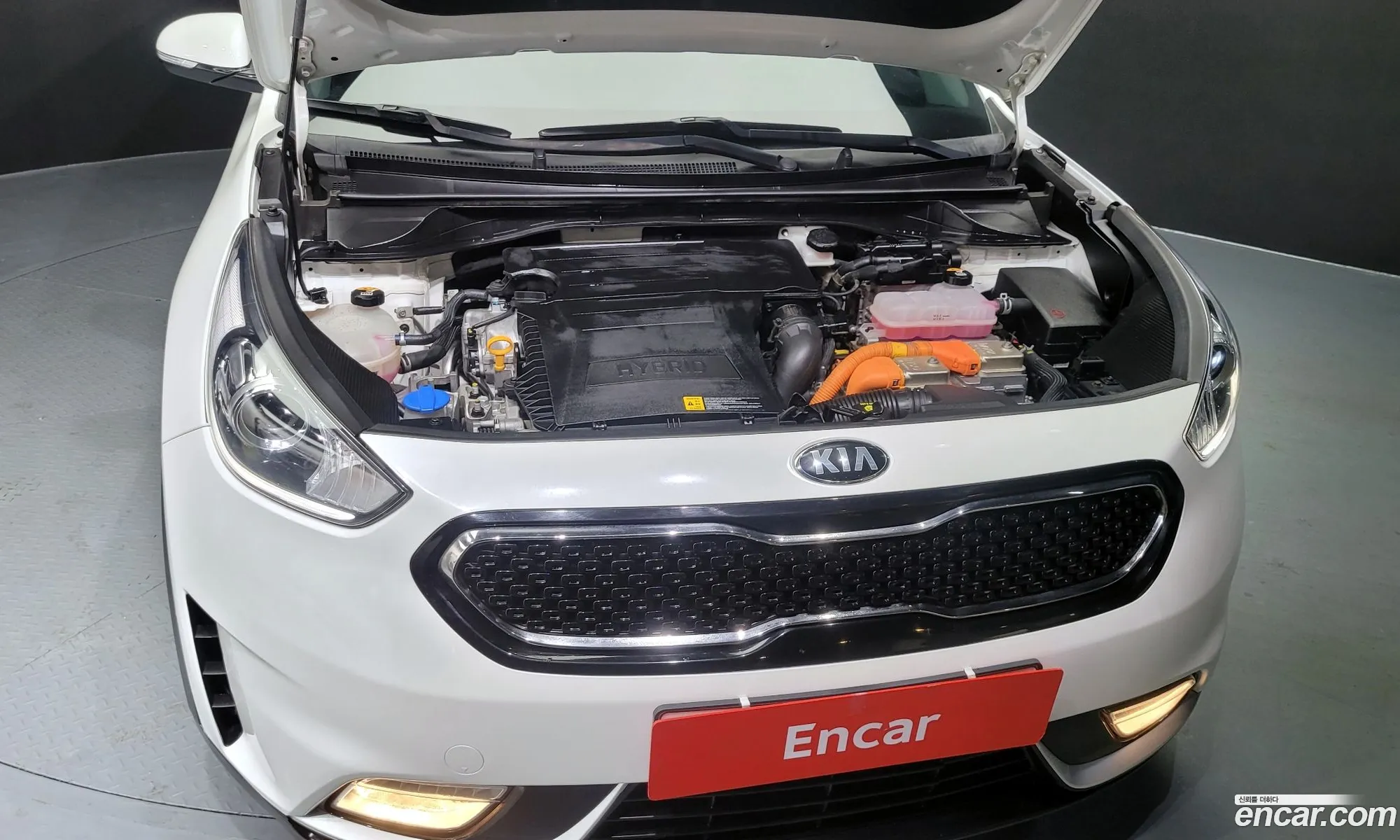 Kia Niro Prestige - фотография 11823555