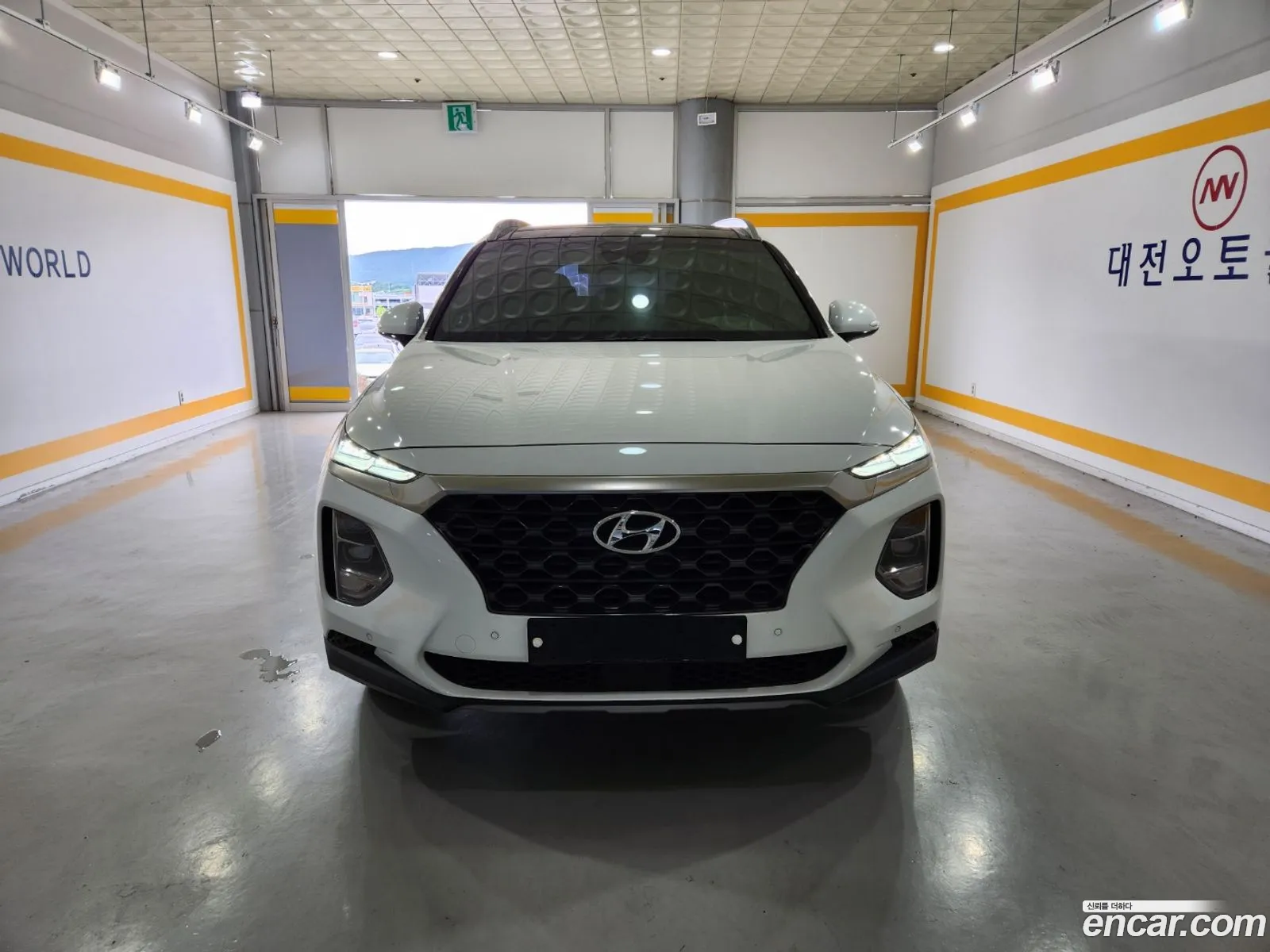 Hyundai Santa Fe Diesel 20 4Wd 2018 - фотография 18619490