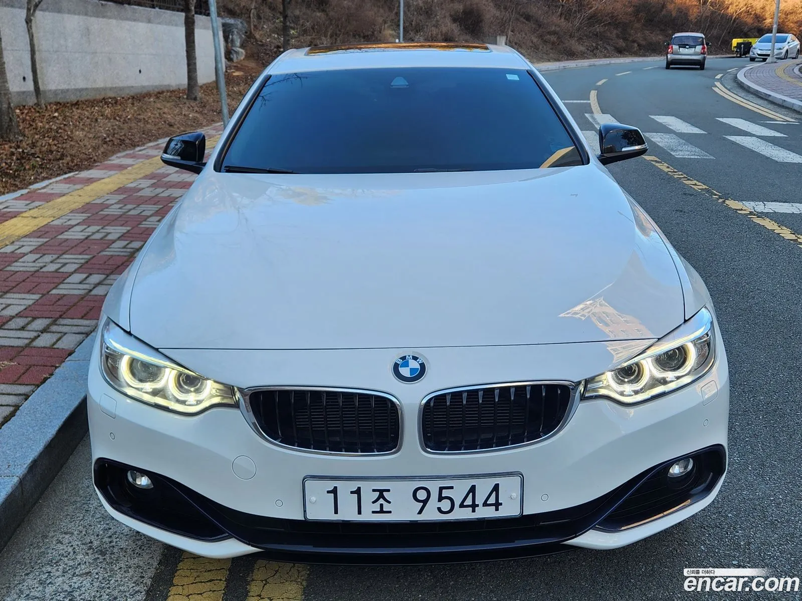 BMW 4 Series F32 420D xDrive Sports Gran Coupe - фотография 16504297