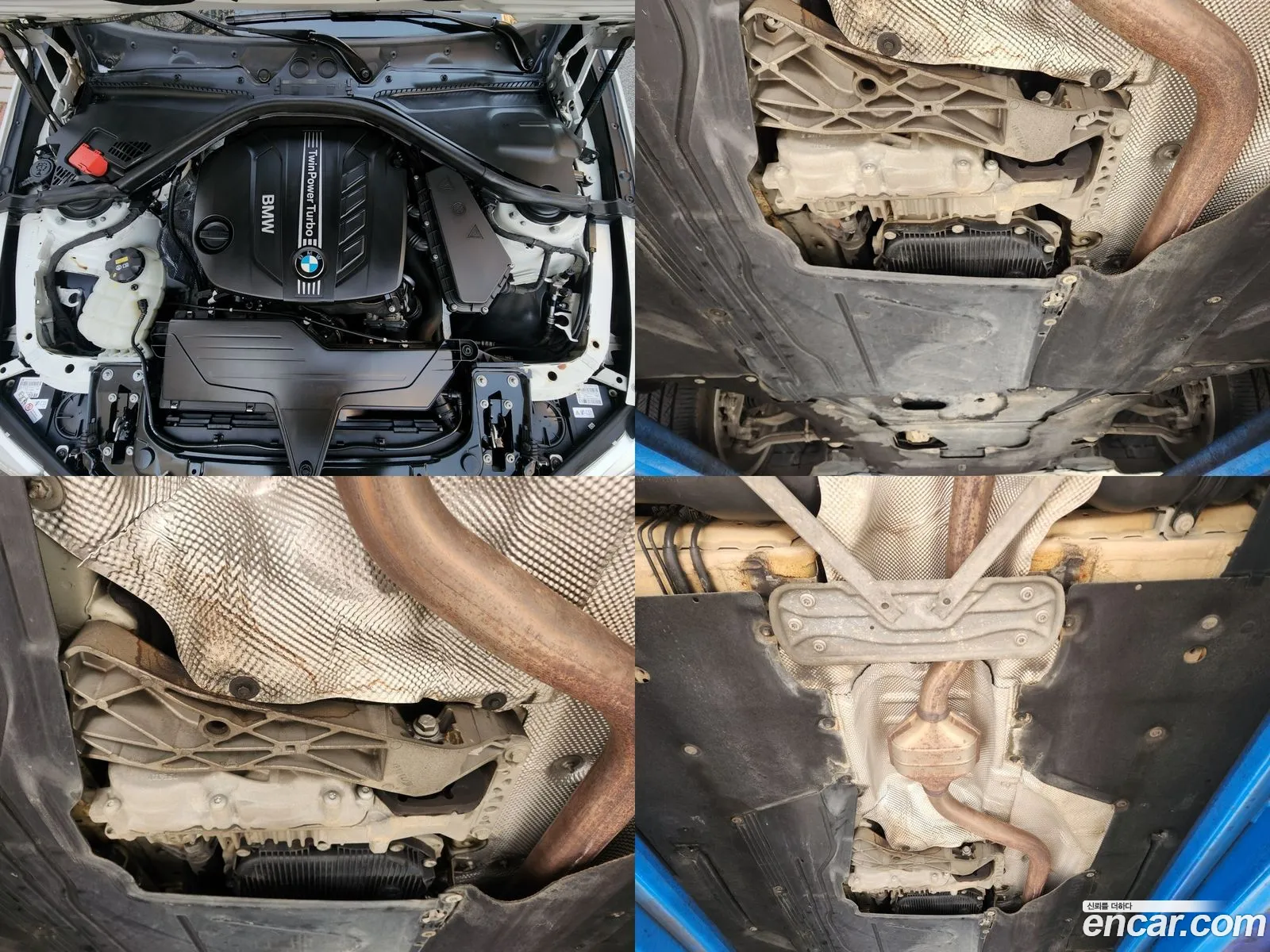 Korex Auto Trade - фотография 16470603