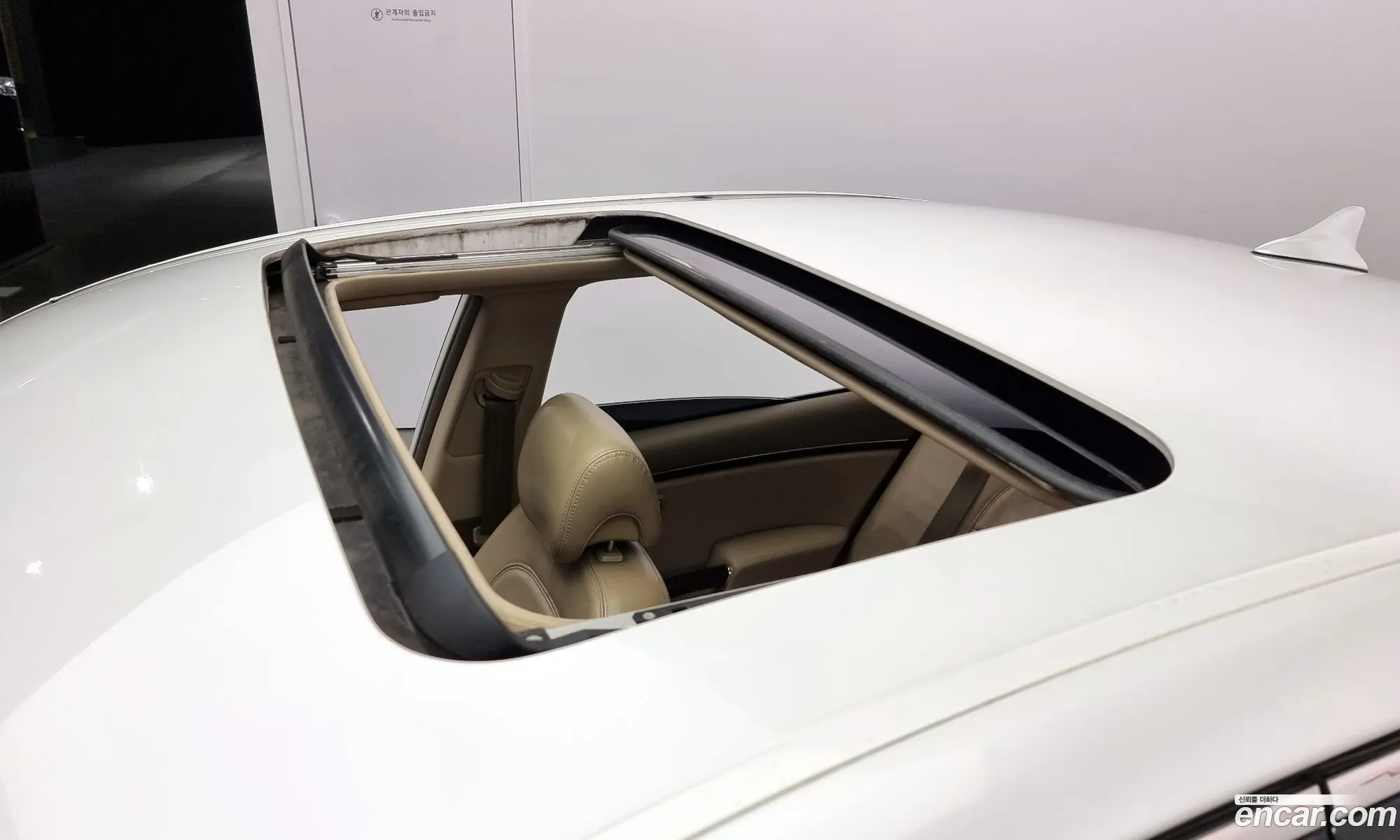 Korex Auto Trade - фотография 16579864