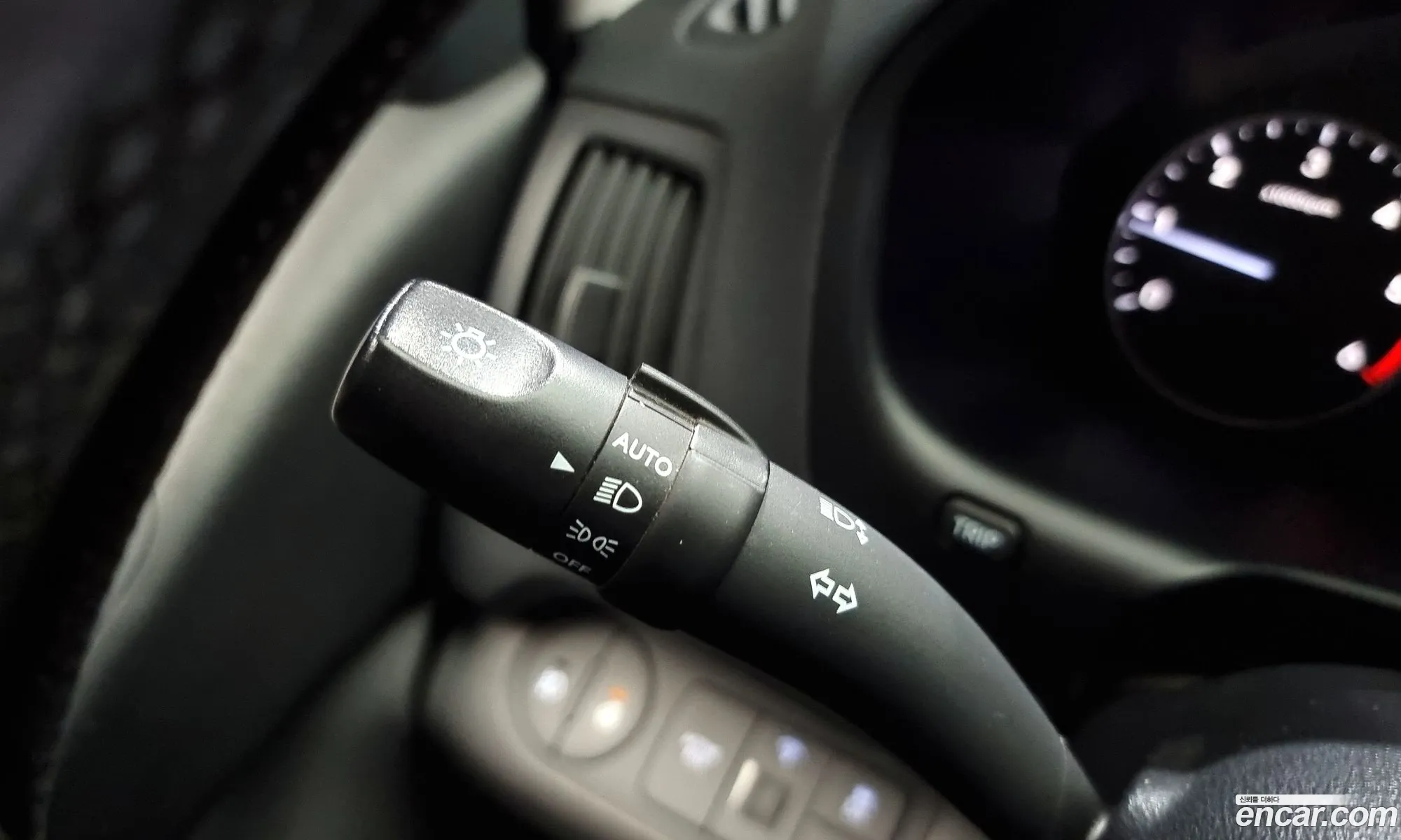 Korex Auto Trade - фотография 12026949