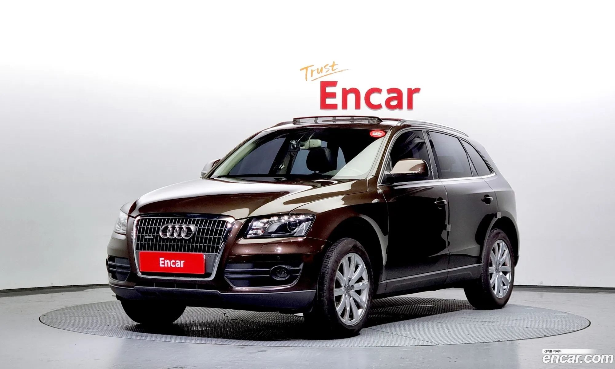 Audi Q5 I 8R 20 Tdi Quattro Dynamic 2011 - фотография 523114