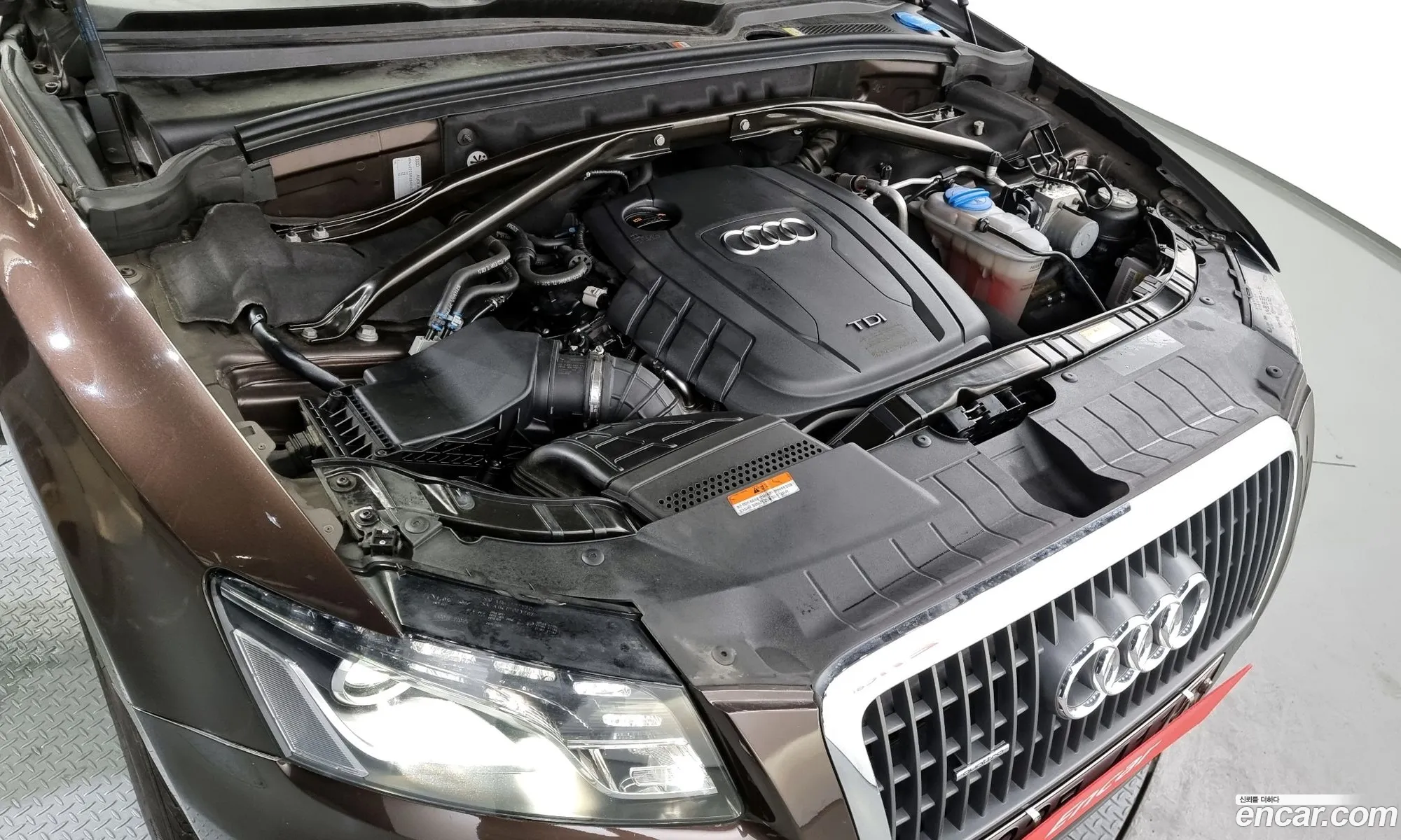 Audi Q5 I 8R 20 Tdi Quattro Dynamic 2011 - фотография 523119
