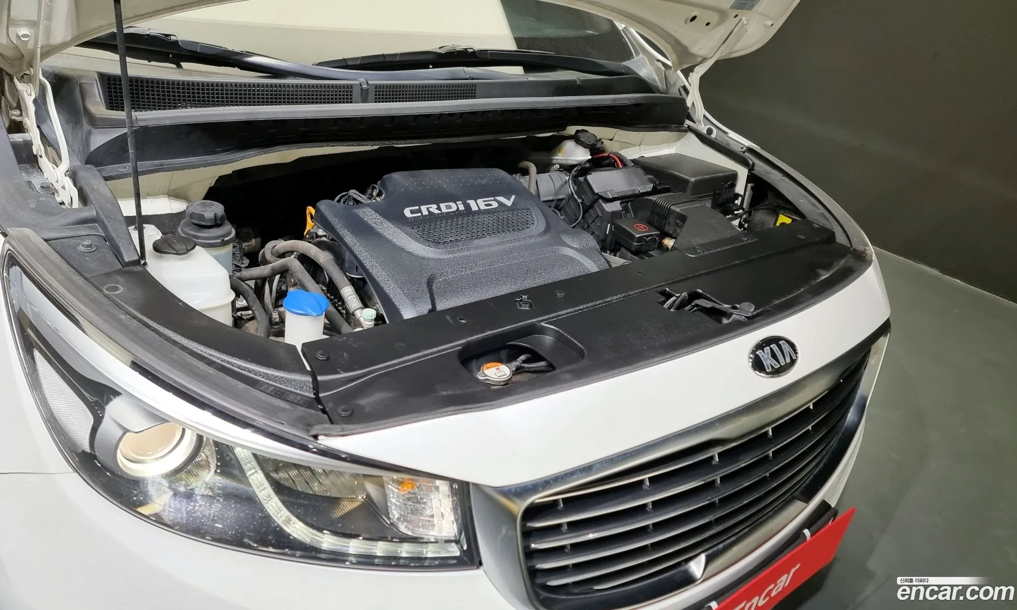 Kia Carnival 9-Seater High Limousine 2018 - фотография 11216265