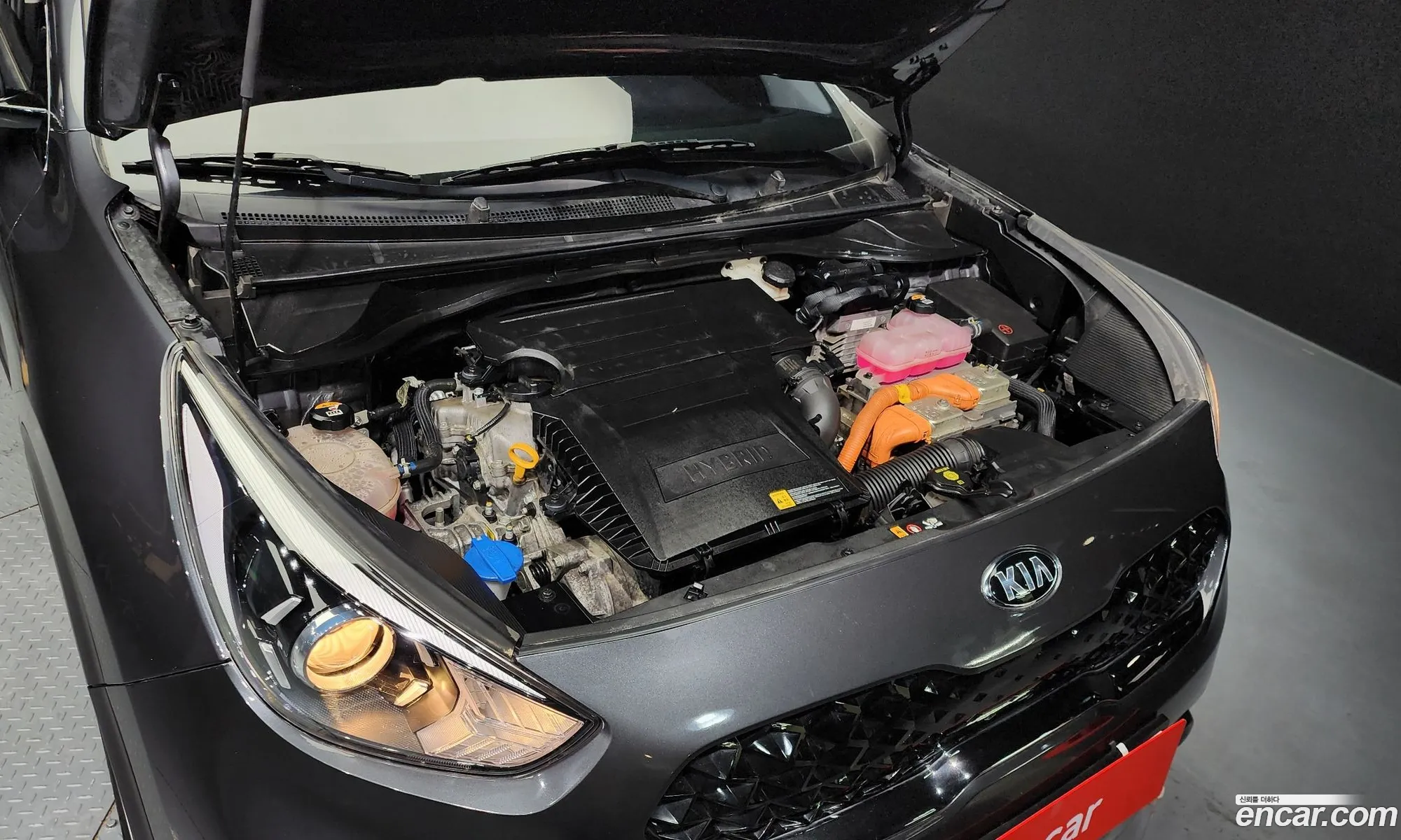 Kia Niro I 16 Hev 2021 - фотография 15718033