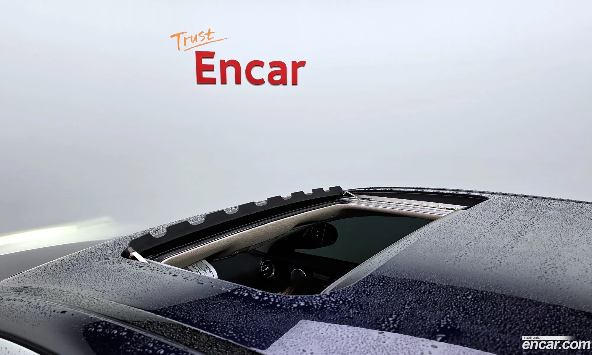 Korex Auto Trade - фотография 12449436
